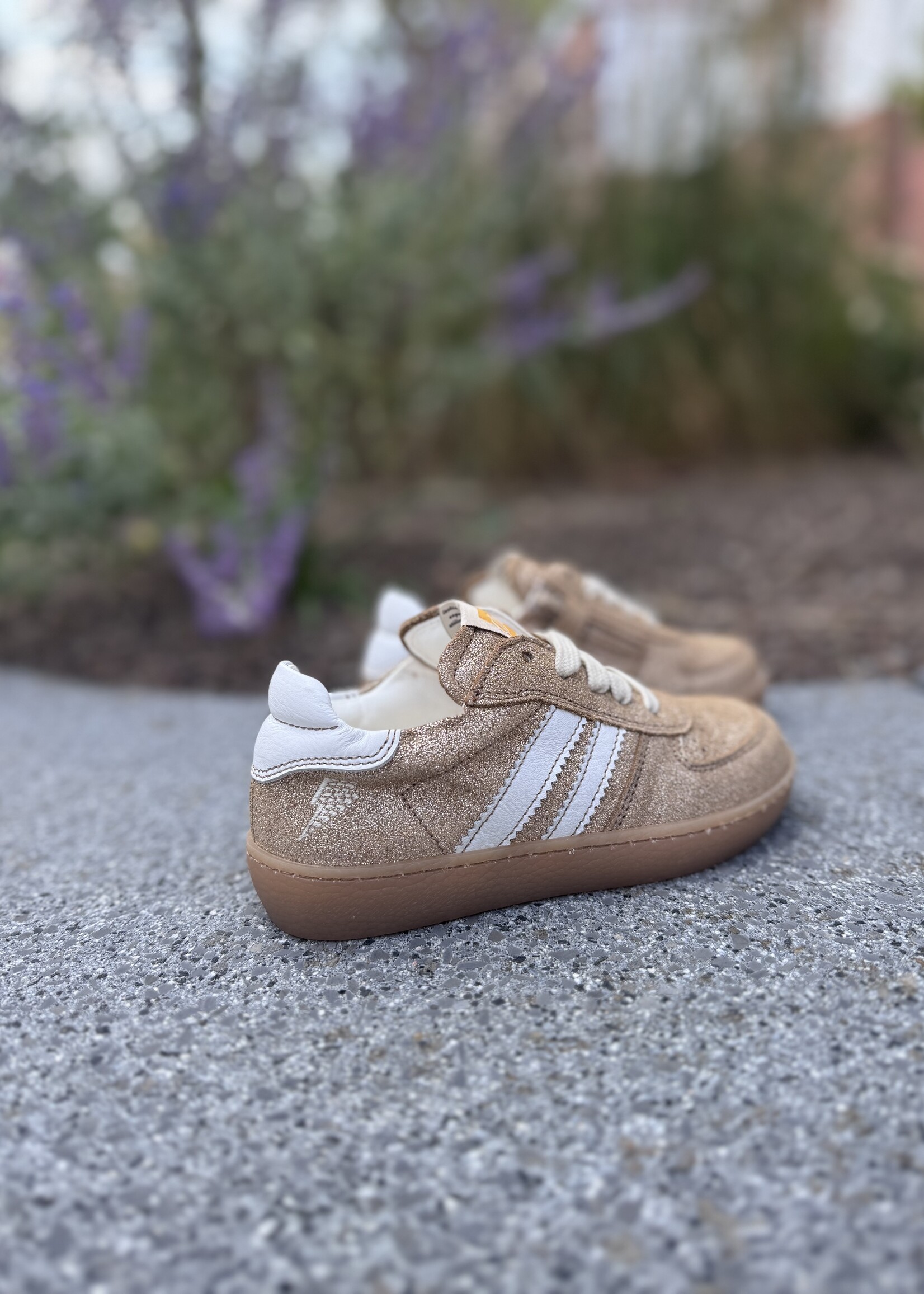 Ocra 126 chianti biscuit