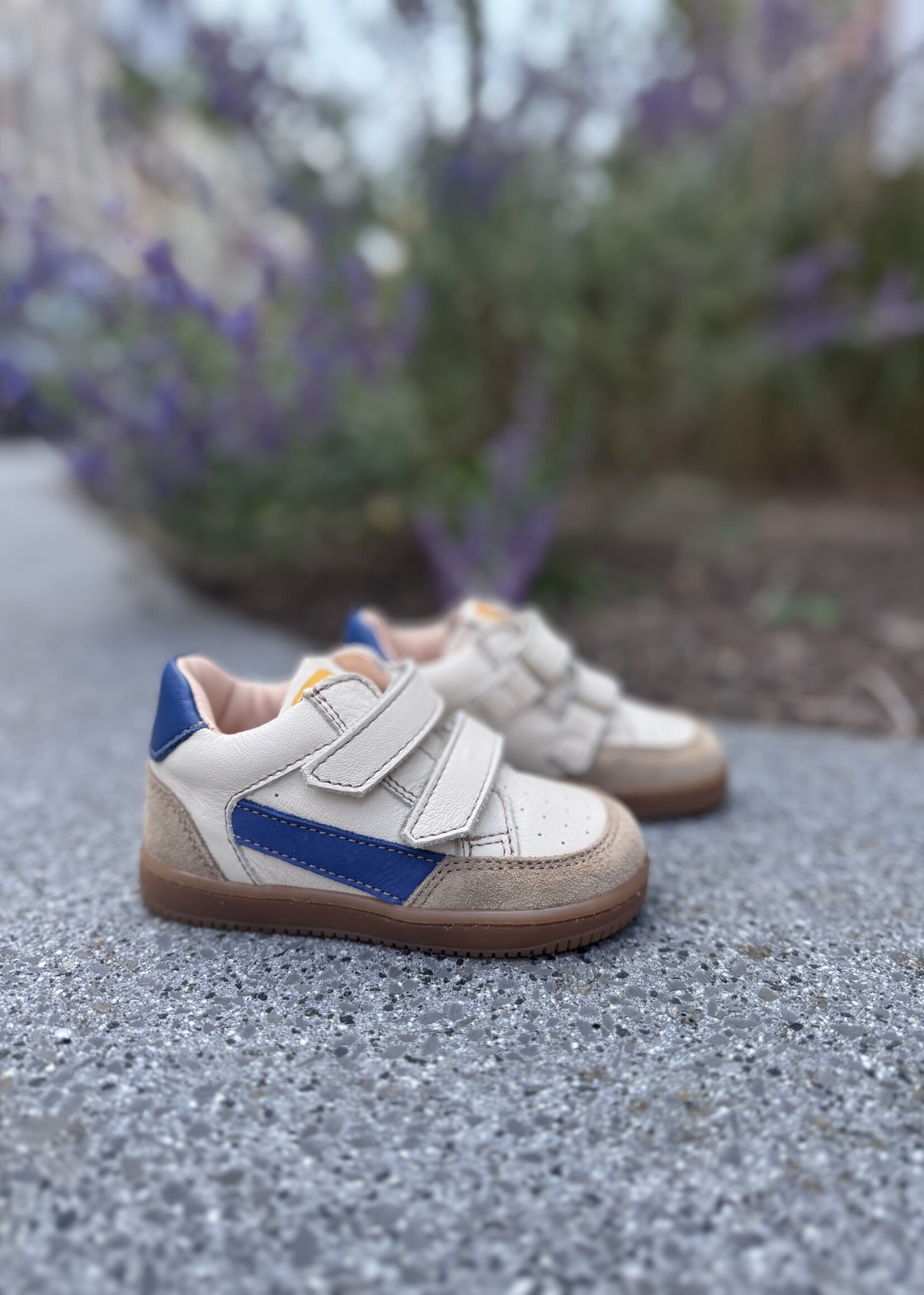 Ocra 971 madrid mouse milk oltremare