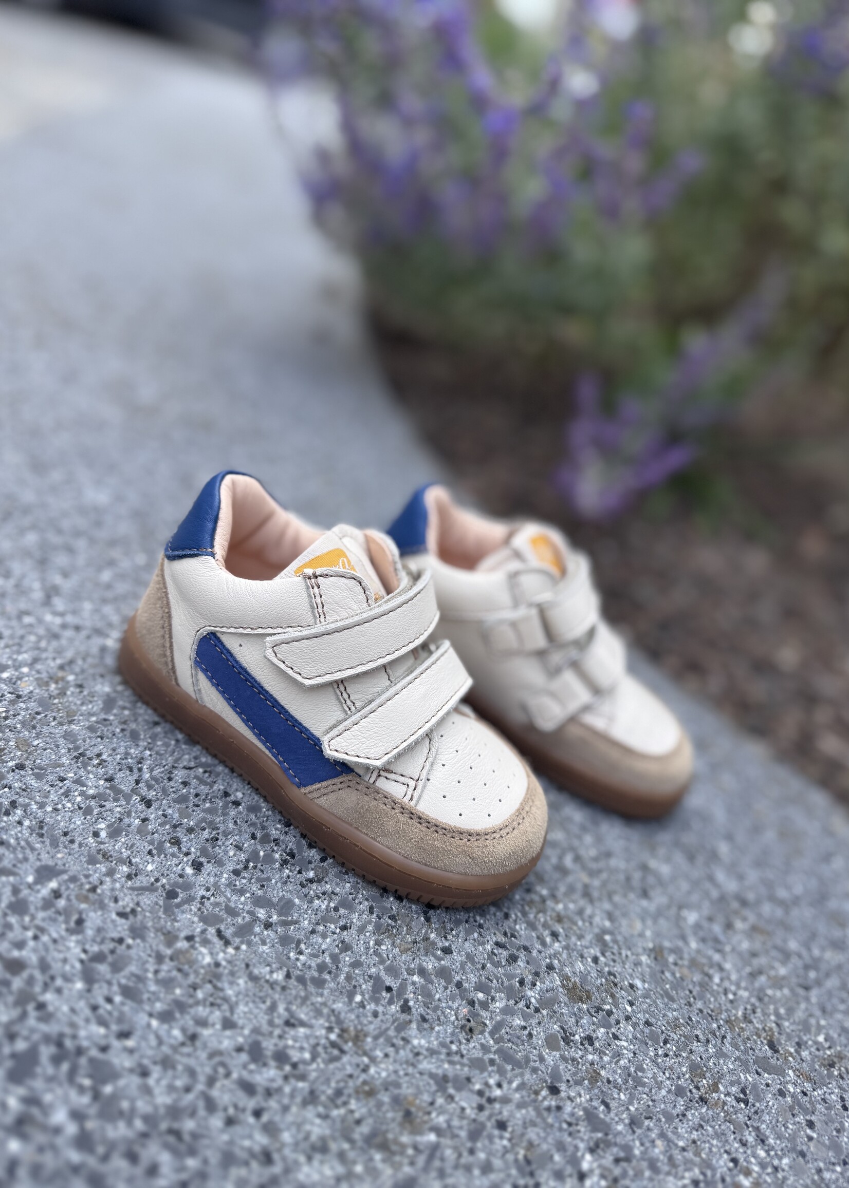 Ocra 971 madrid mouse milk oltremare