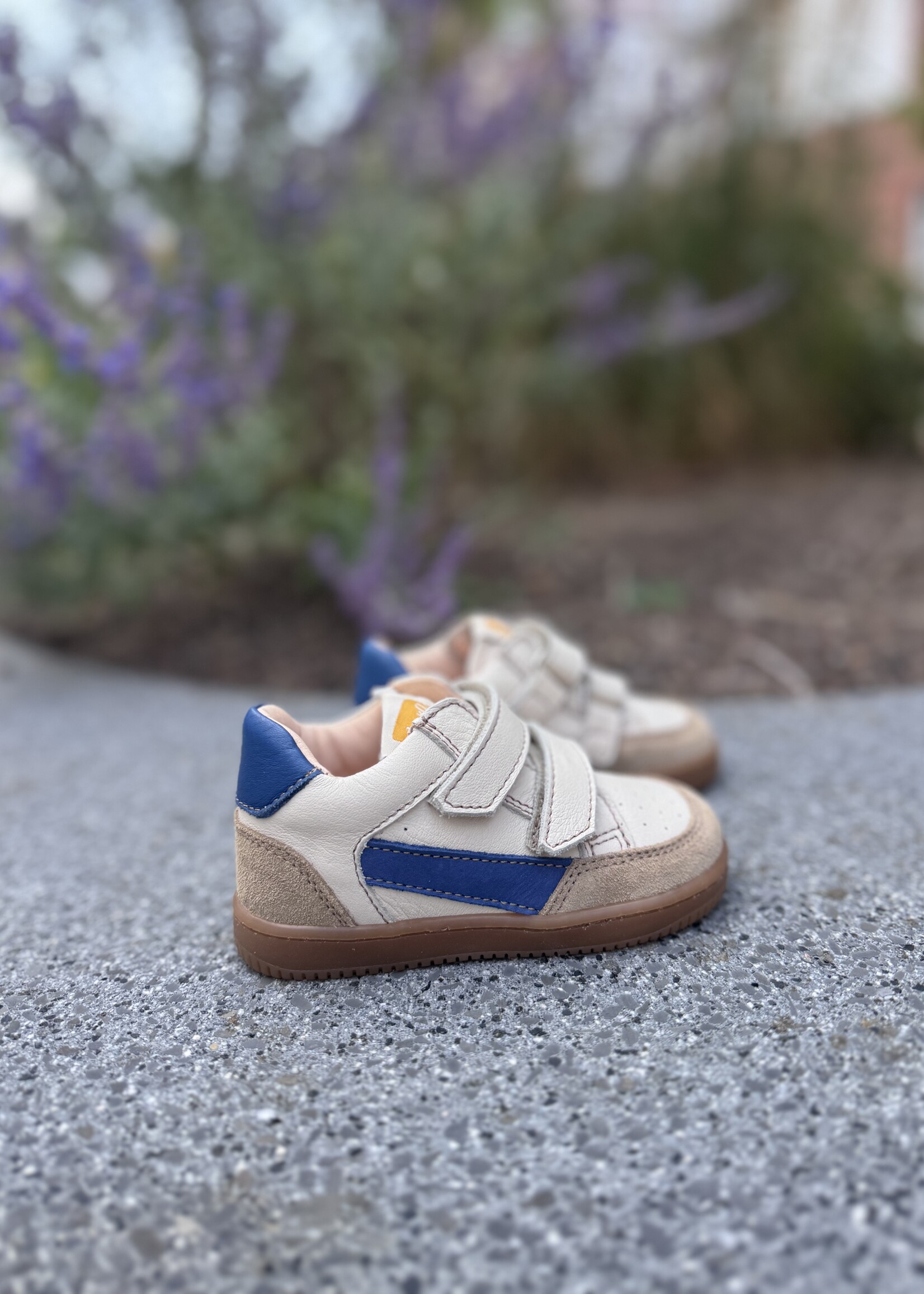 Ocra 971 madrid mouse milk oltremare