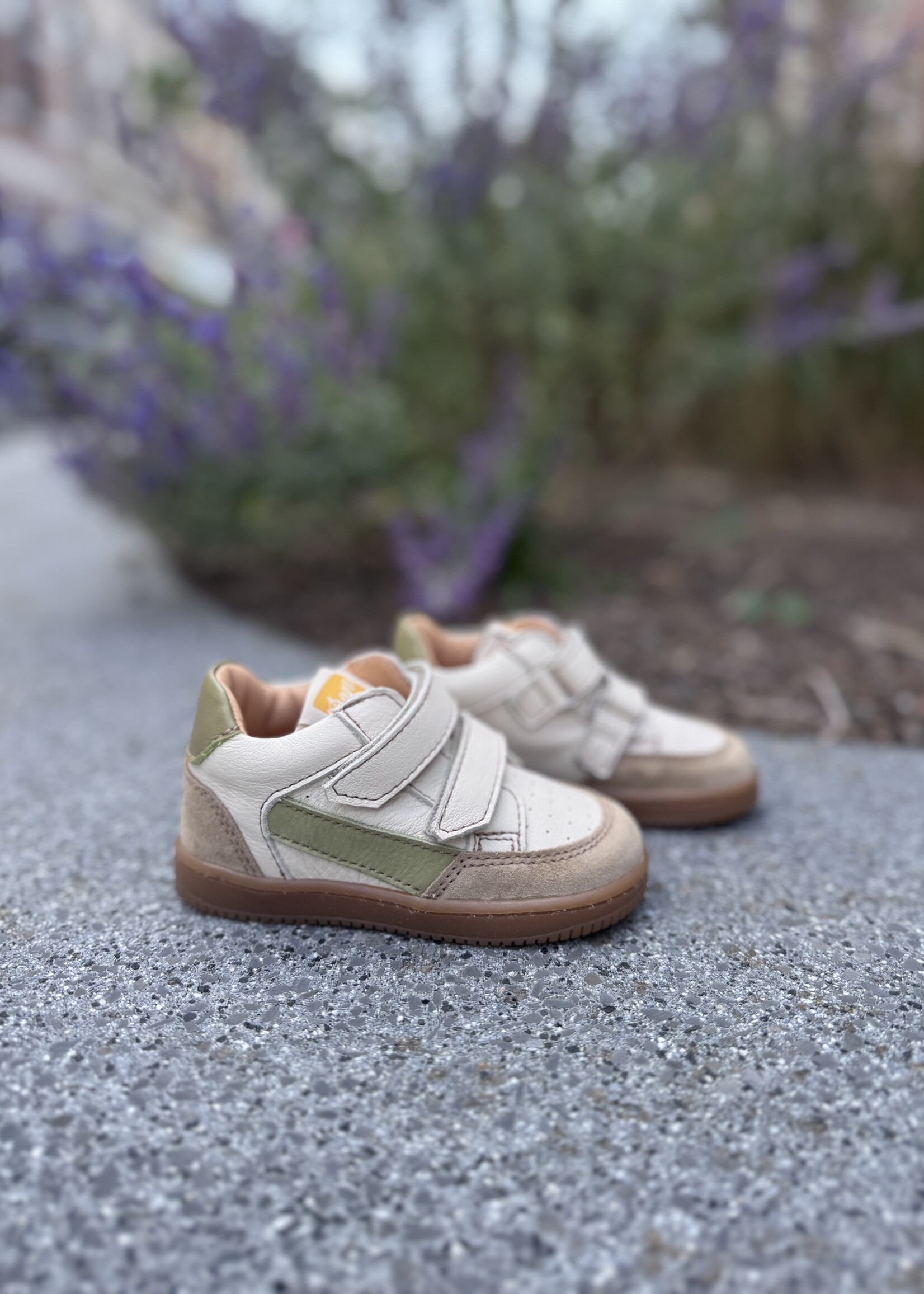 Ocra 971 valencia cappuccino groen