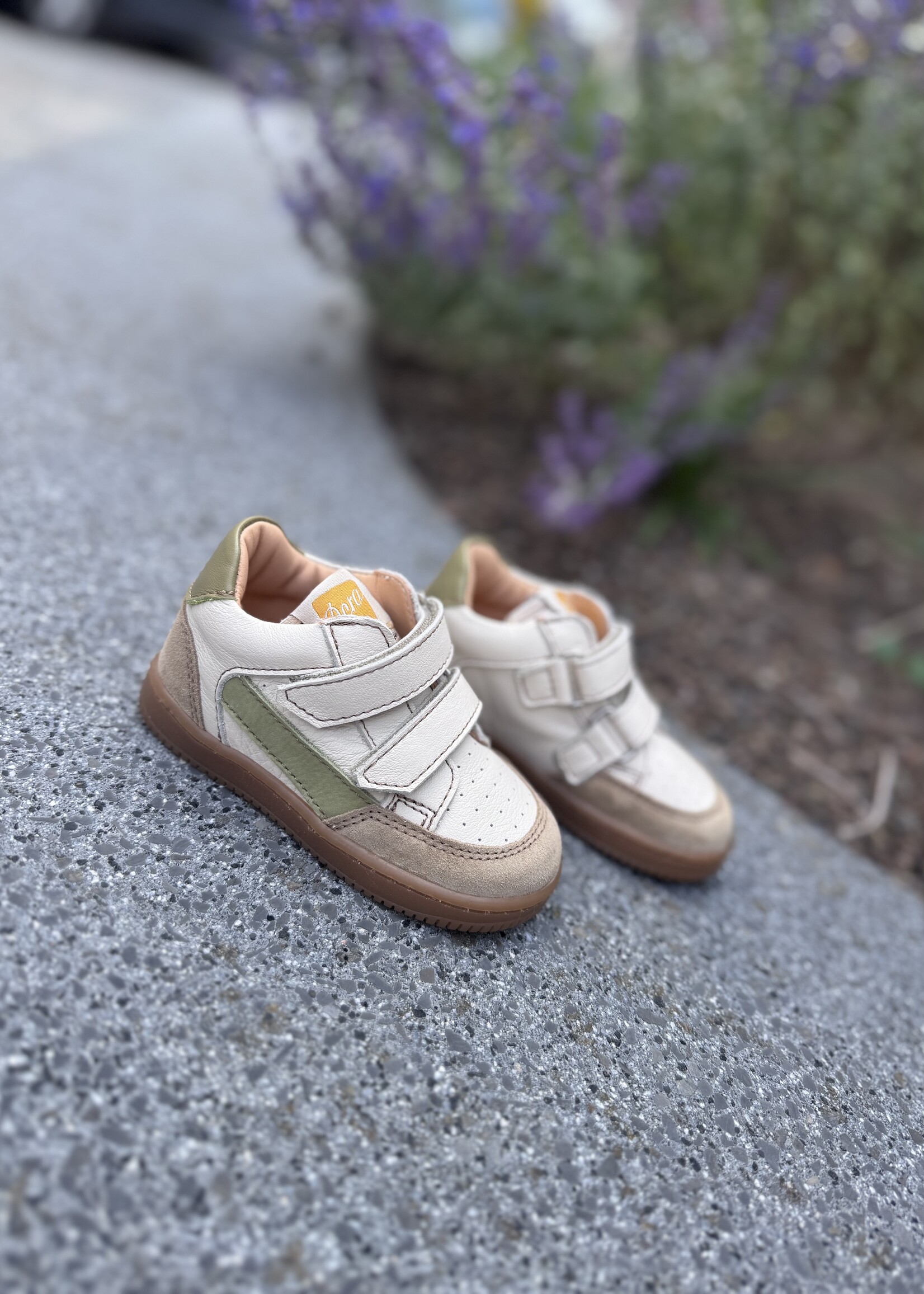 Ocra 971 valencia cappuccino groen