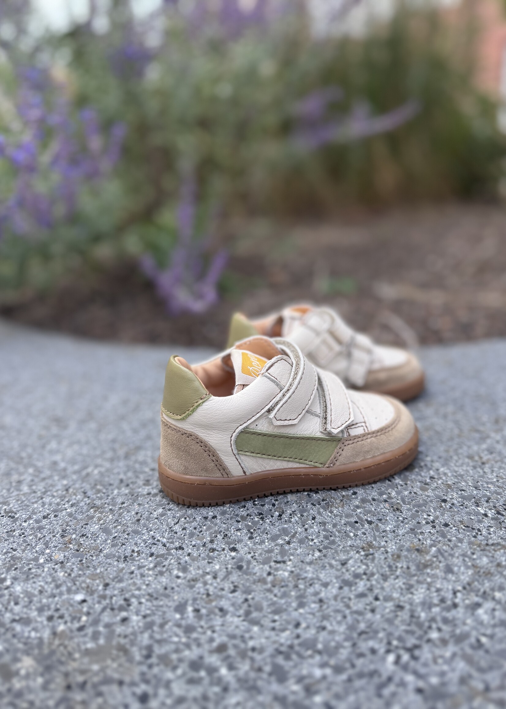 Ocra 971 valencia cappuccino groen