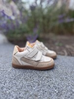 Ocra 971 valencia cappuccino gold