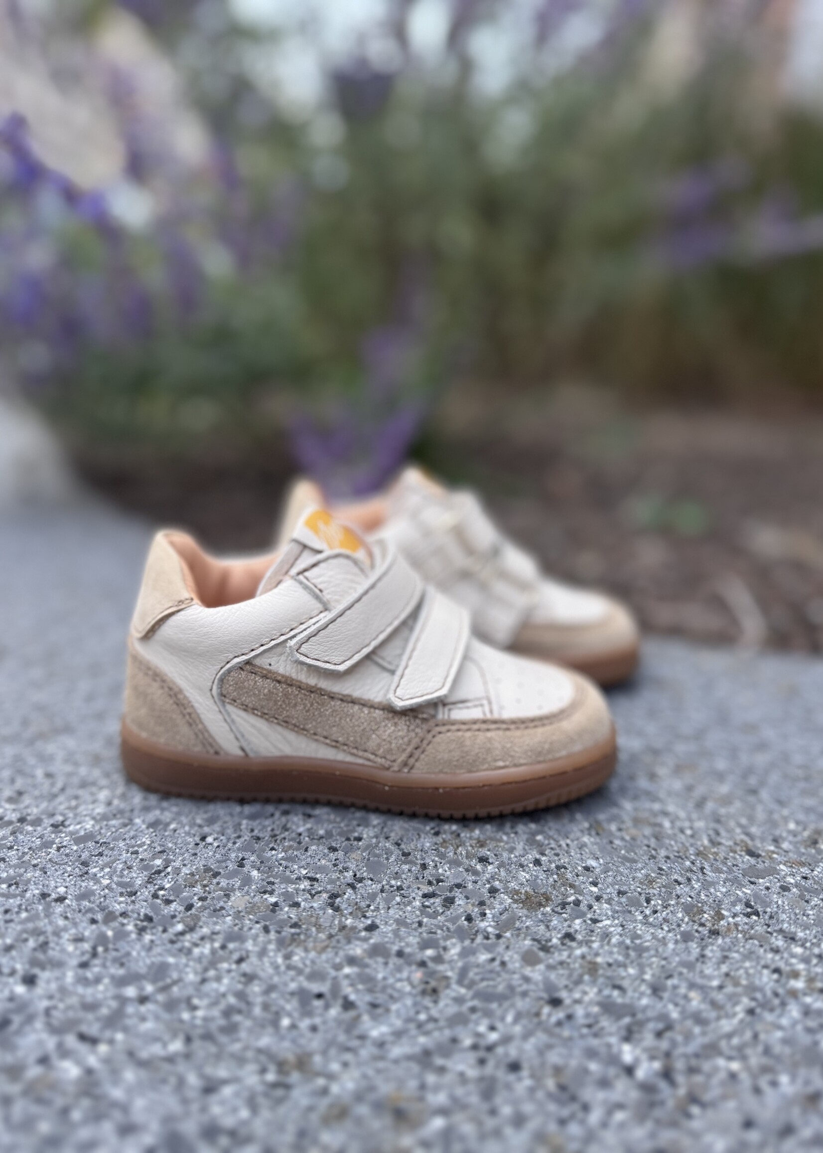 Ocra 971 valencia cappuccino gold