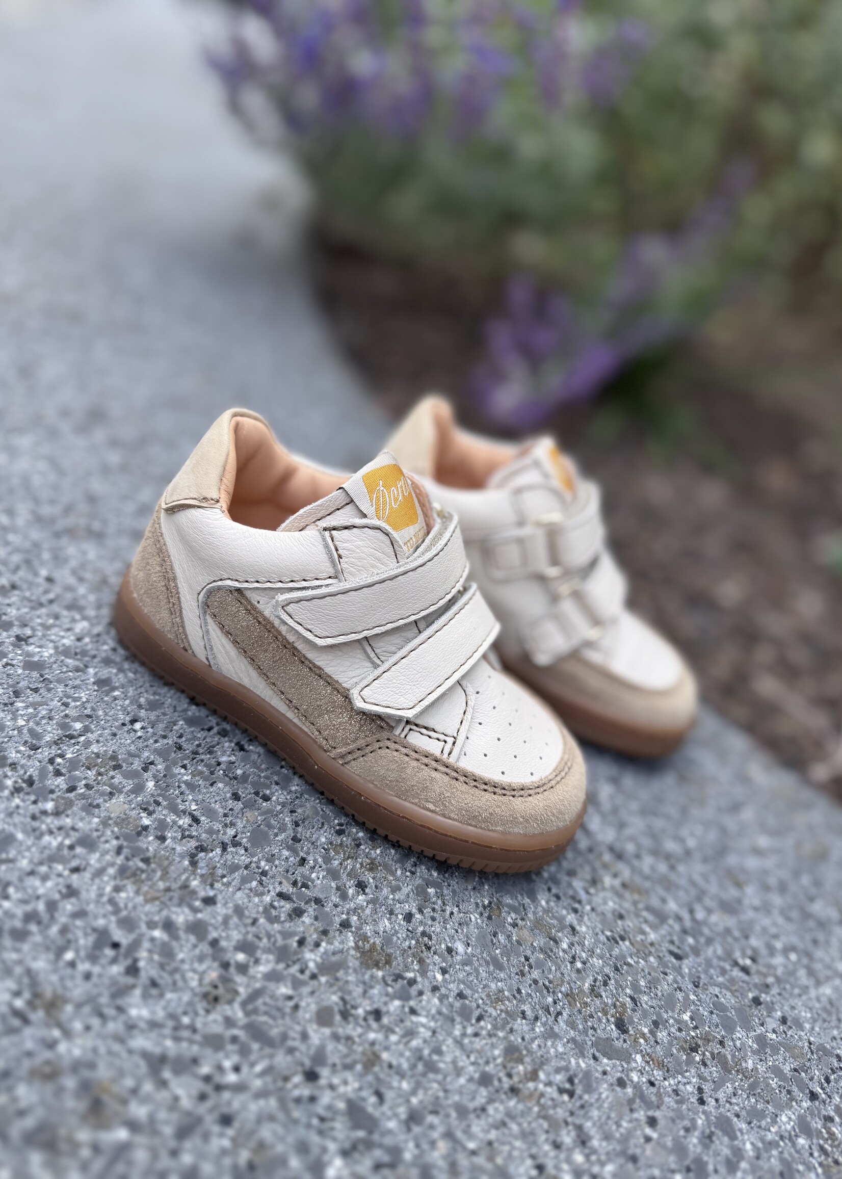 Ocra 971 valencia cappuccino gold