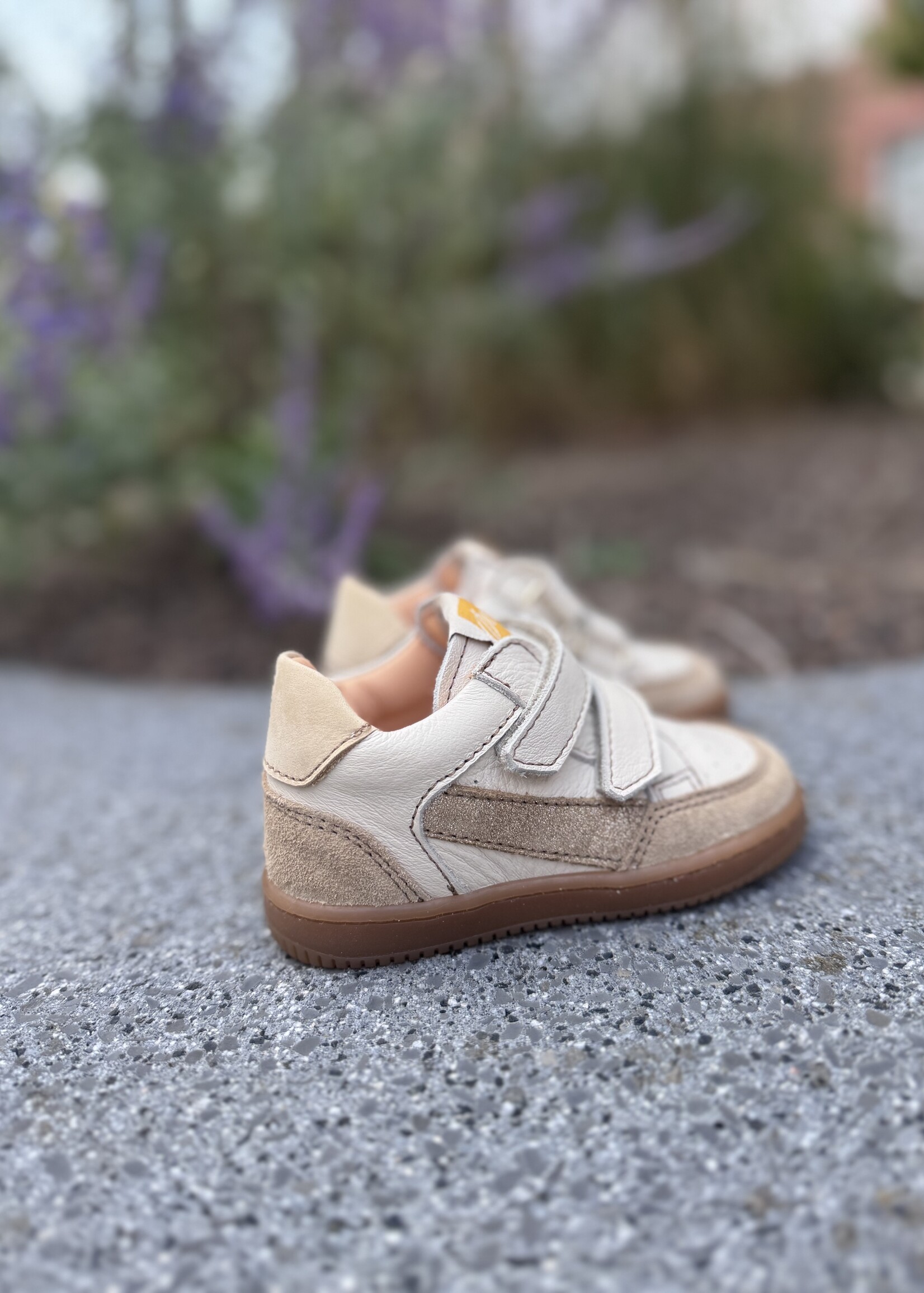 Ocra 971 valencia cappuccino gold