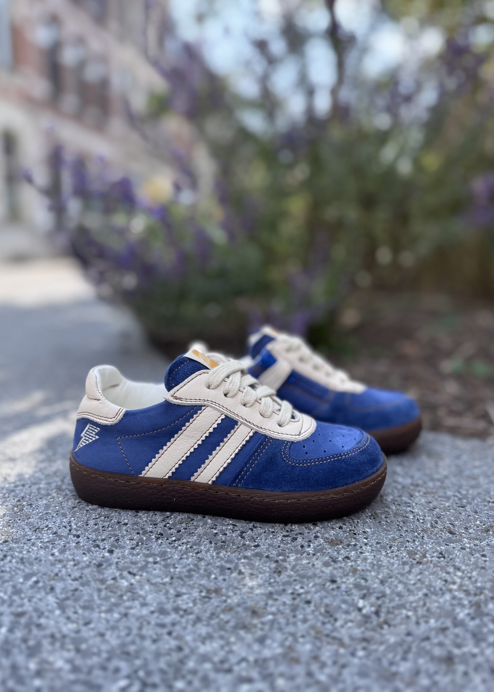 Ocra 126 valencia denim oltremare