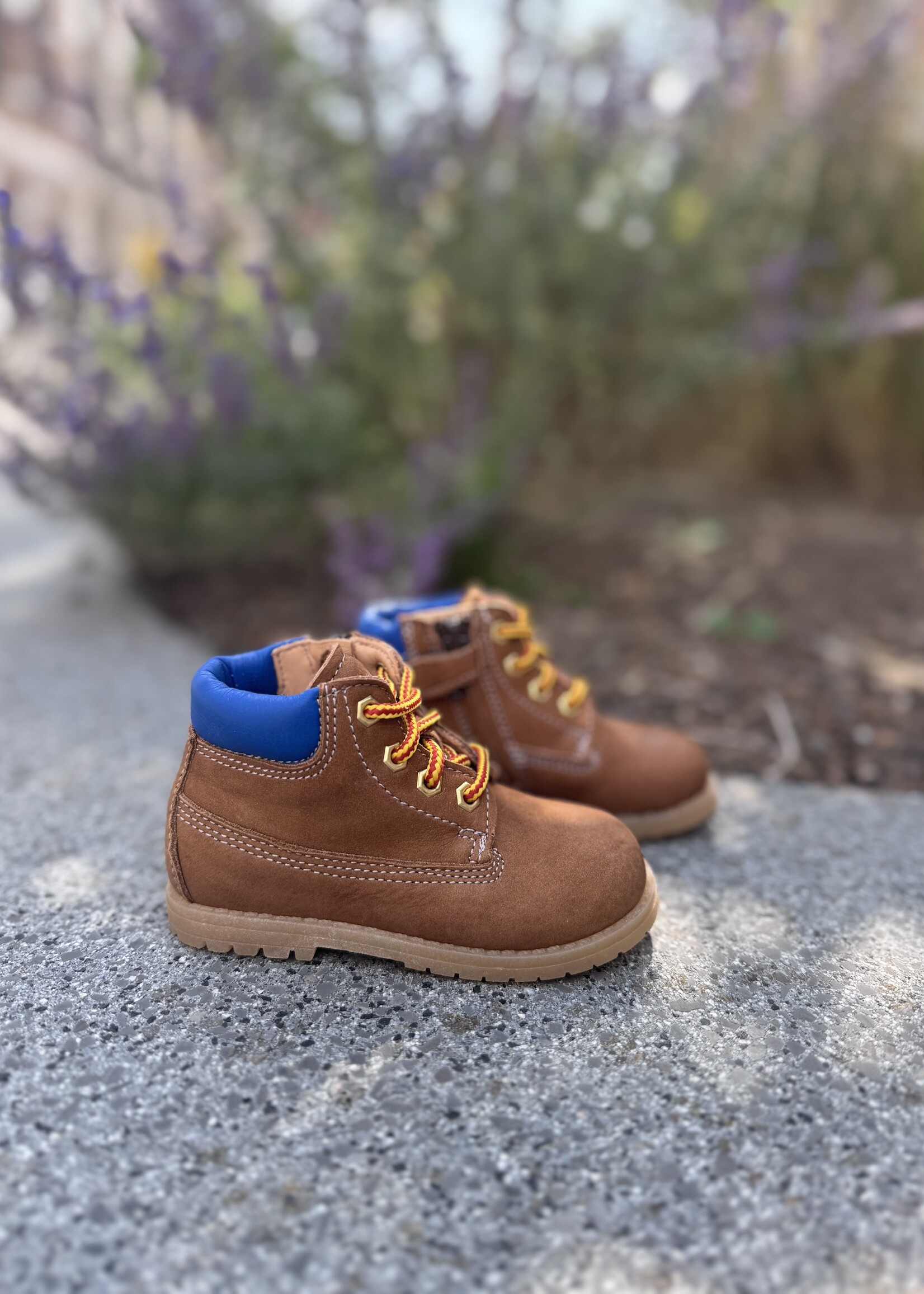 Ocra 664 venice pecan cognac/blauw