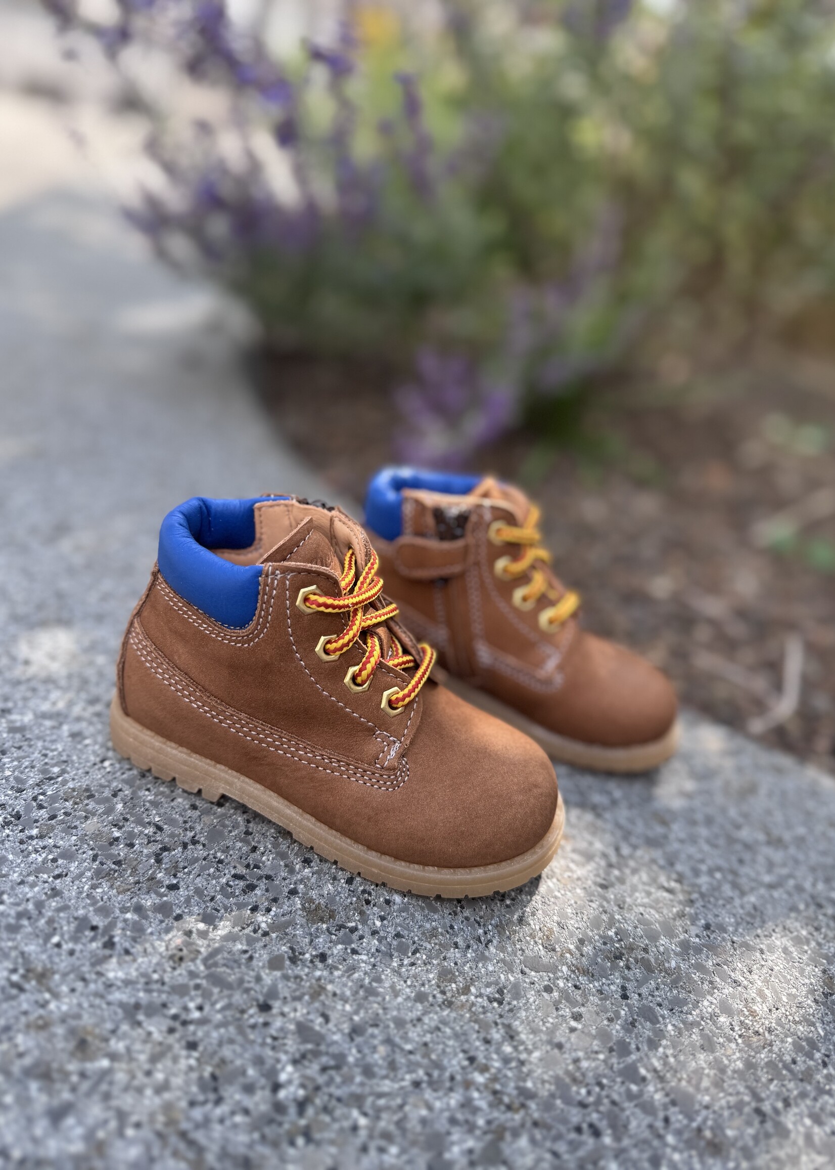 Ocra 664 venice pecan cognac/blauw