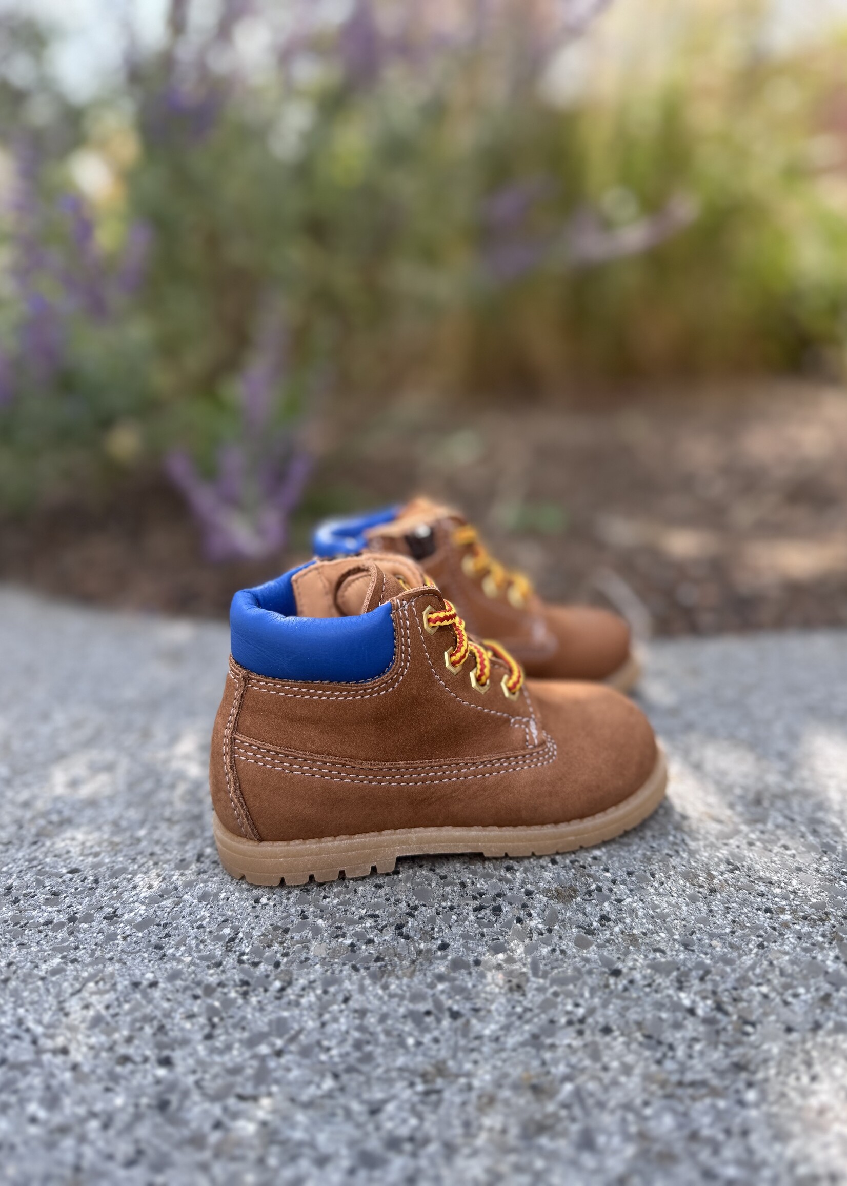 Ocra 664 venice pecan cognac/blauw