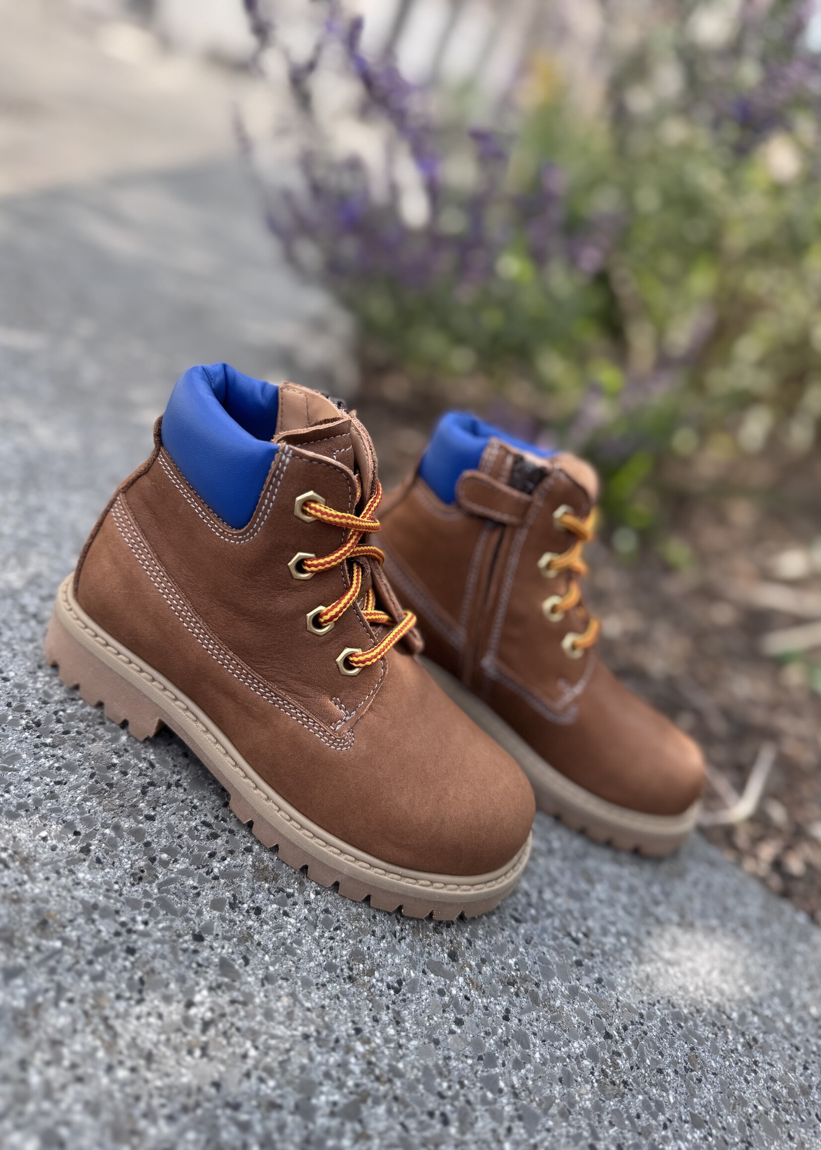 Ocra 662 bottine cognac/blauw