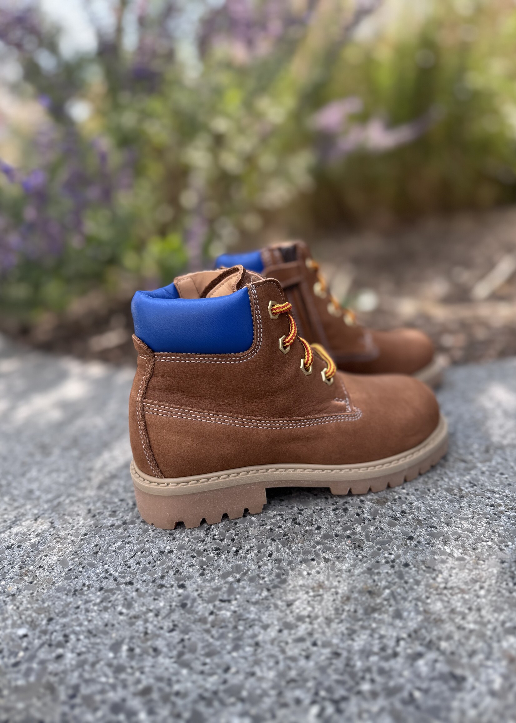 Ocra 662 bottine cognac/blauw