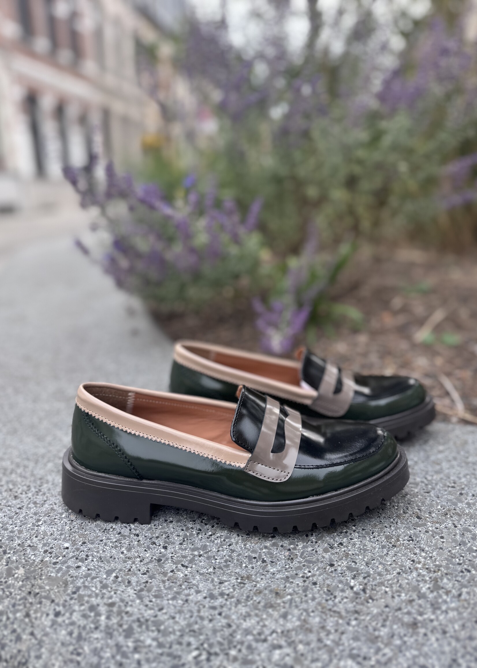 Eli mocassin luxor botella desert