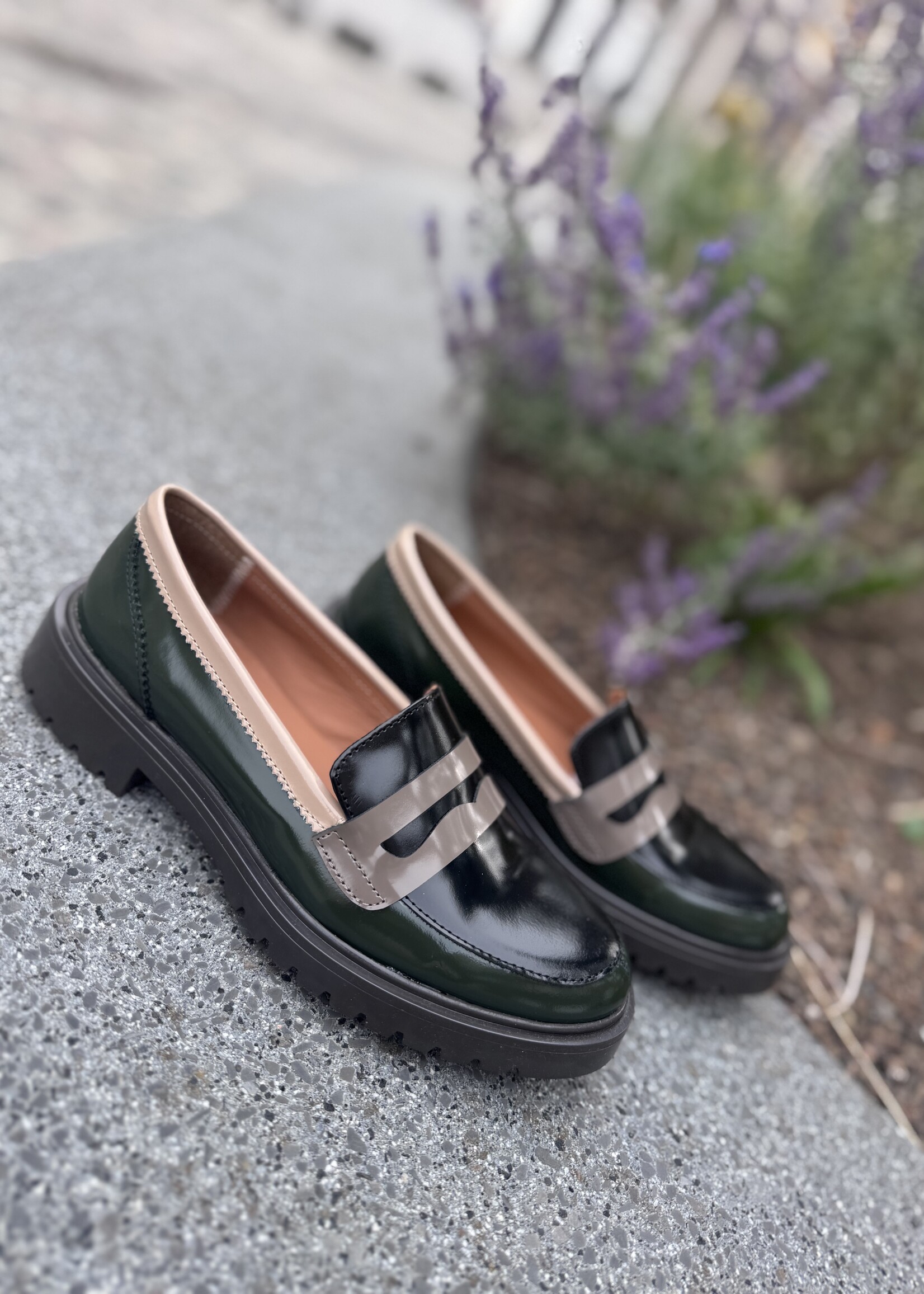 Eli mocassin luxor botella desert