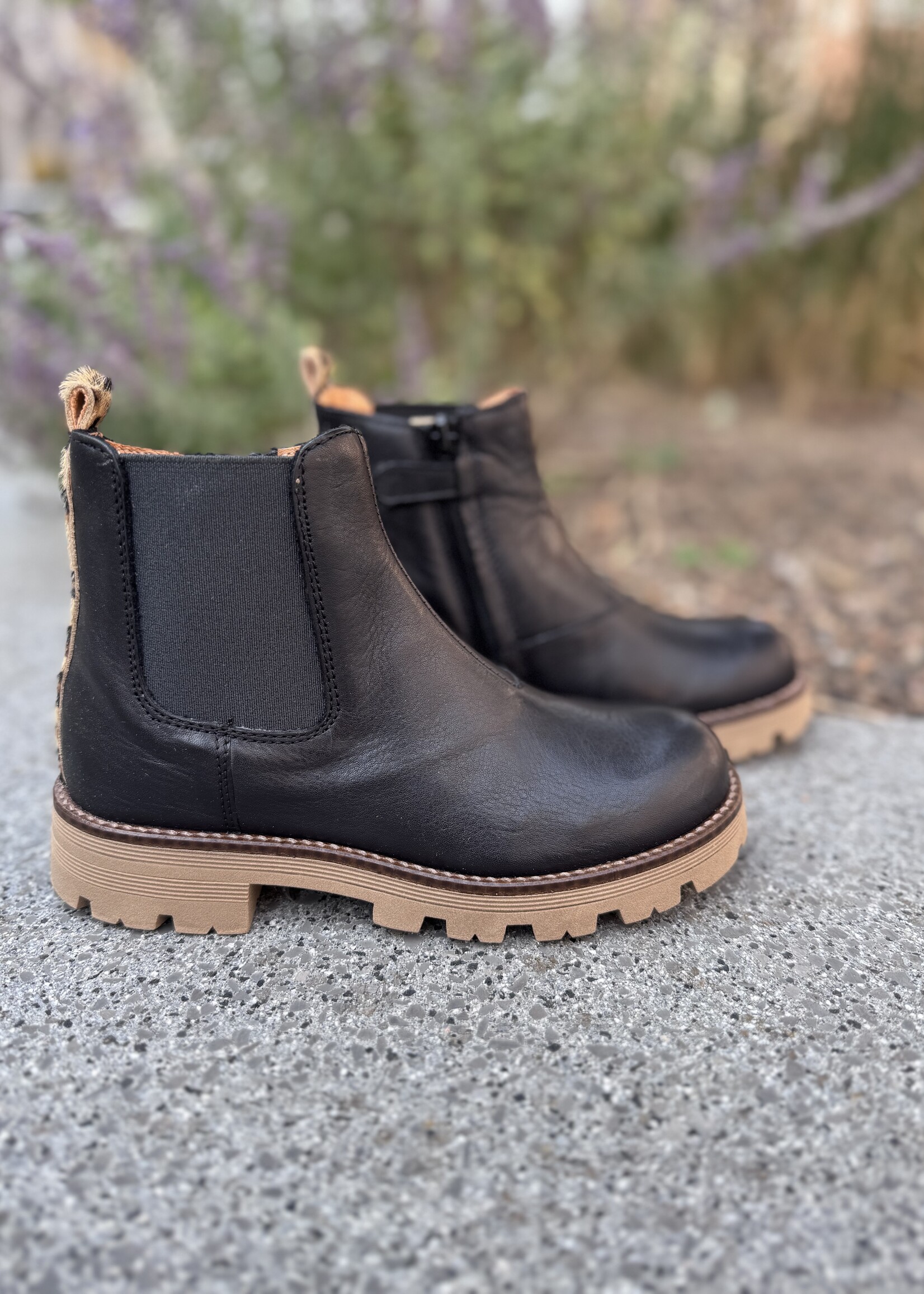 Romagnoli enkellaarsje zwart leo