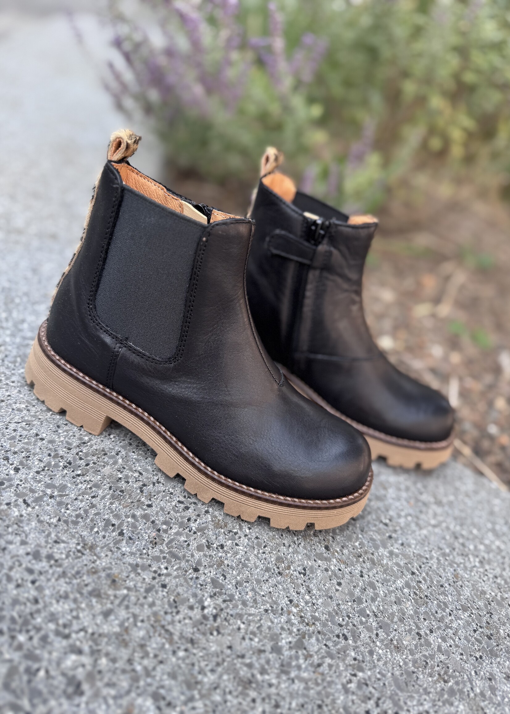 Romagnoli enkellaarsje zwart leo