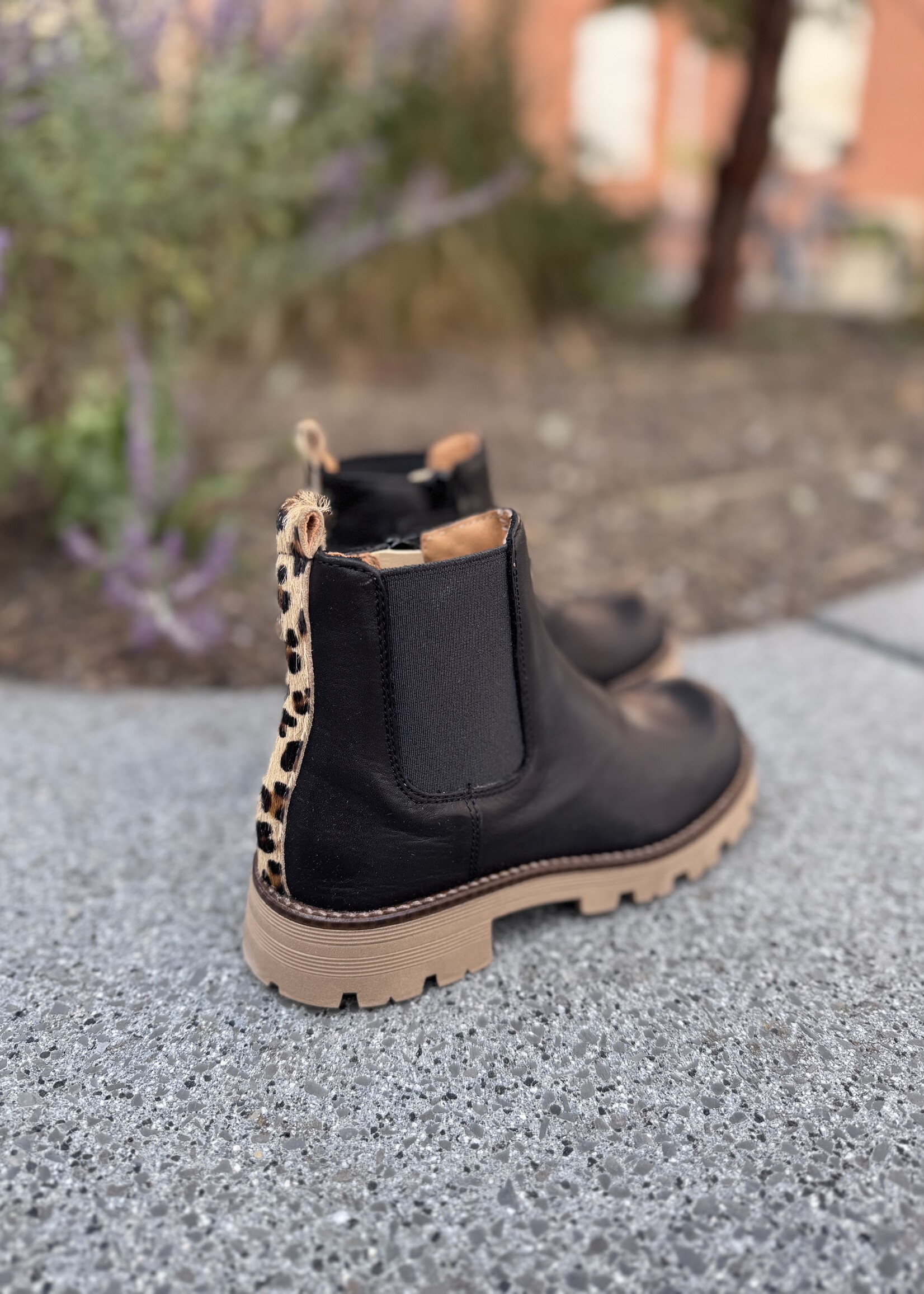 Romagnoli enkellaarsje zwart leo