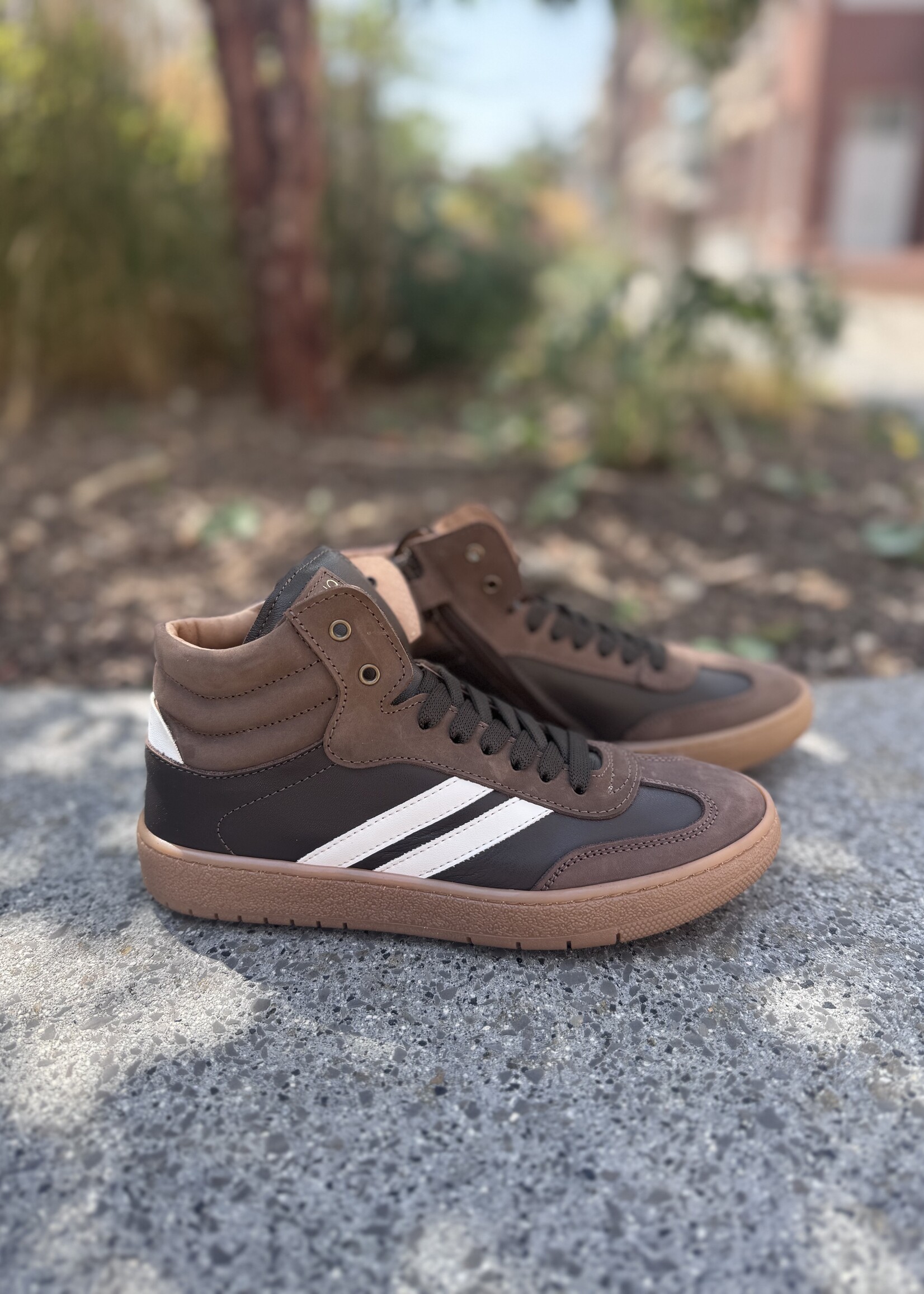 6624 hoge basket caffe brown