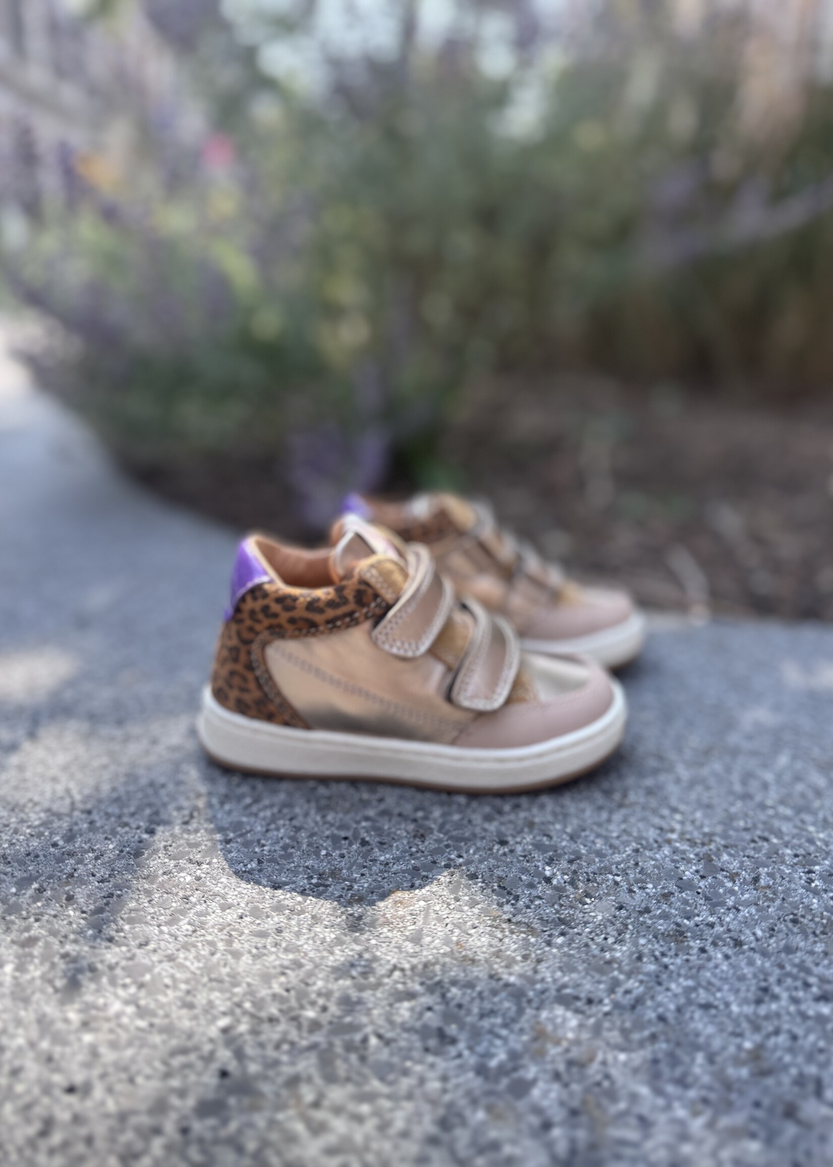 Romagnoli 7196 sneaker velcro laminato leo lila