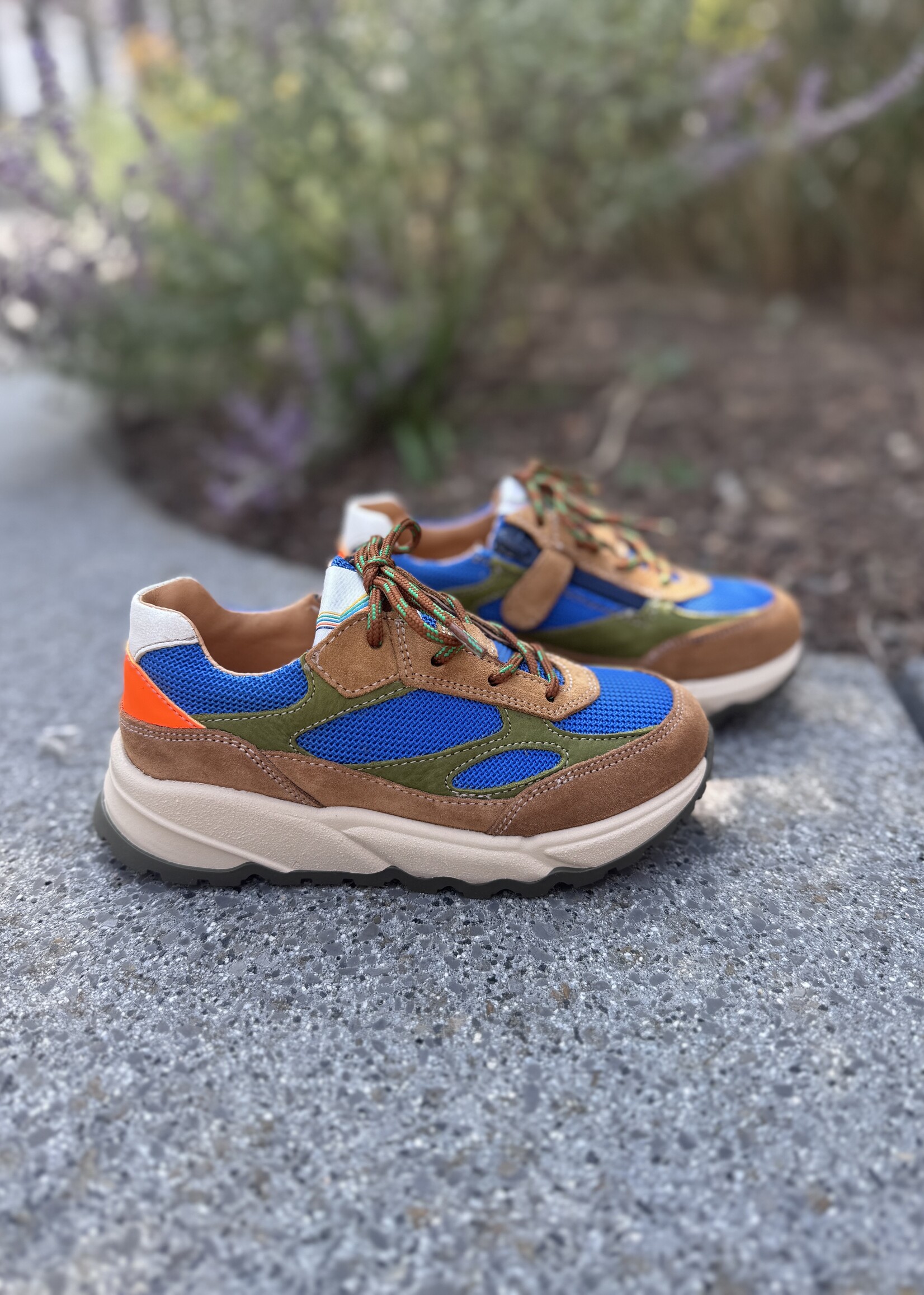 Romagnoli 7366 sneaker bluette