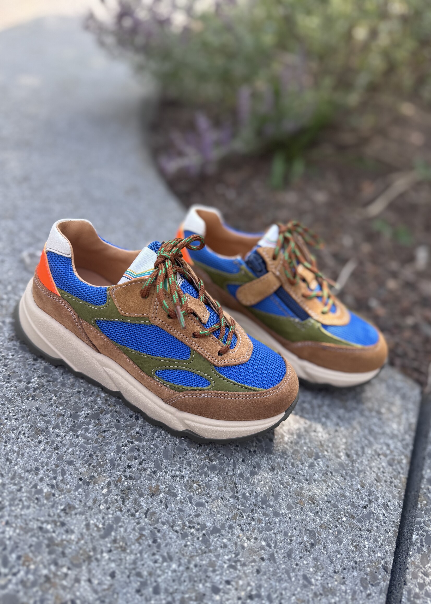 Romagnoli 7366 sneaker bluette