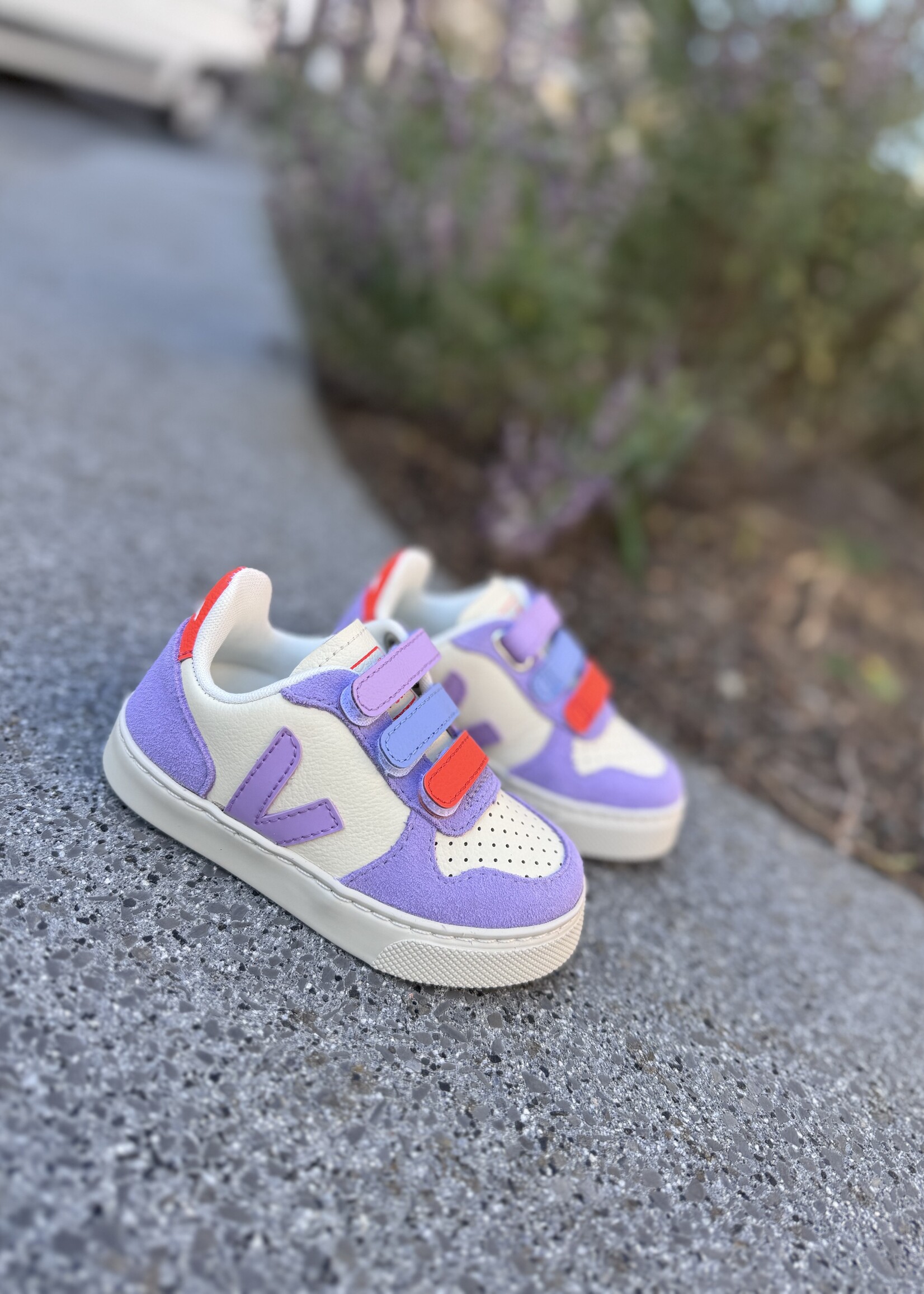 VEJA small V-10 cashew multico orchid