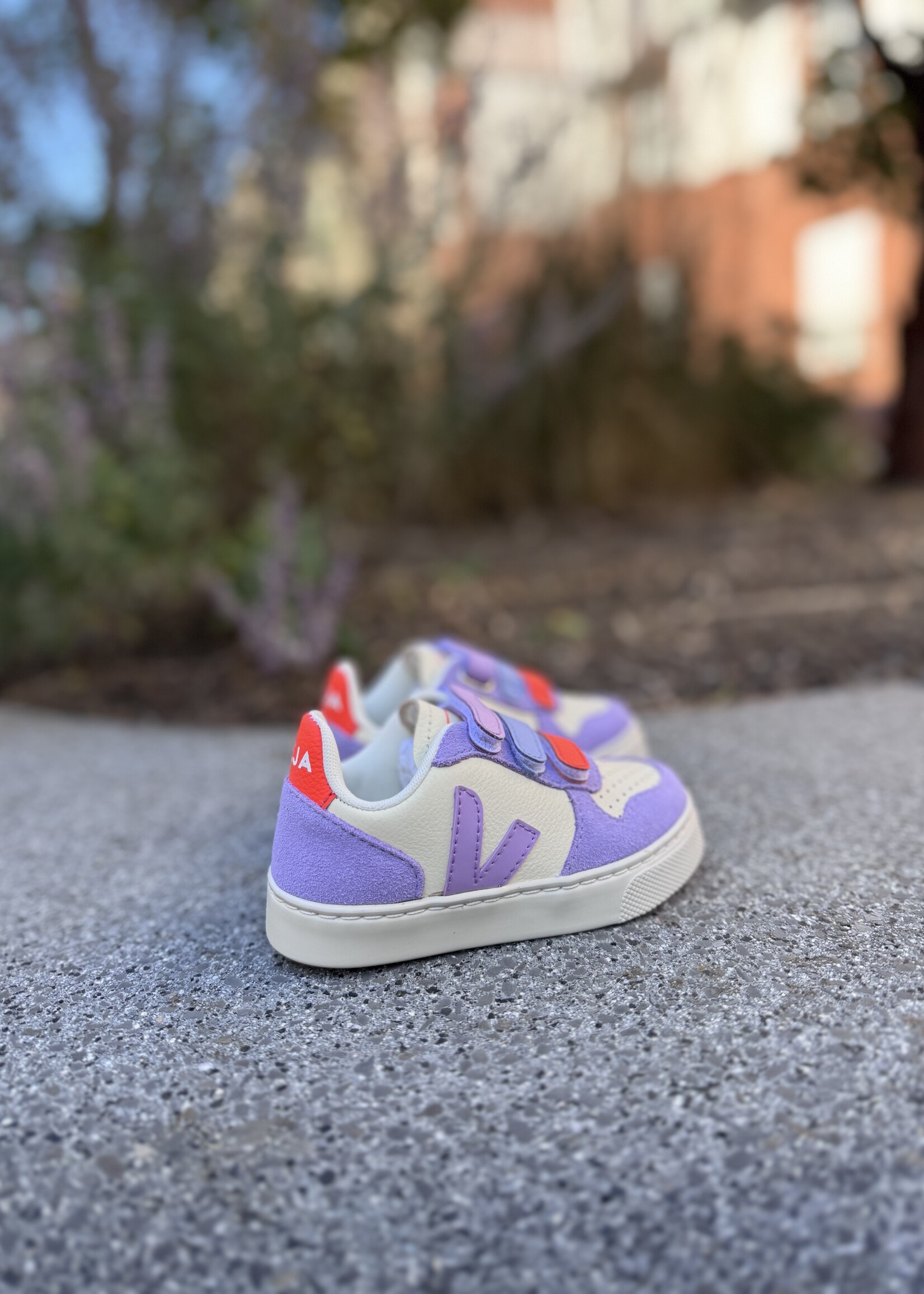 VEJA small V-10 cashew multico orchid