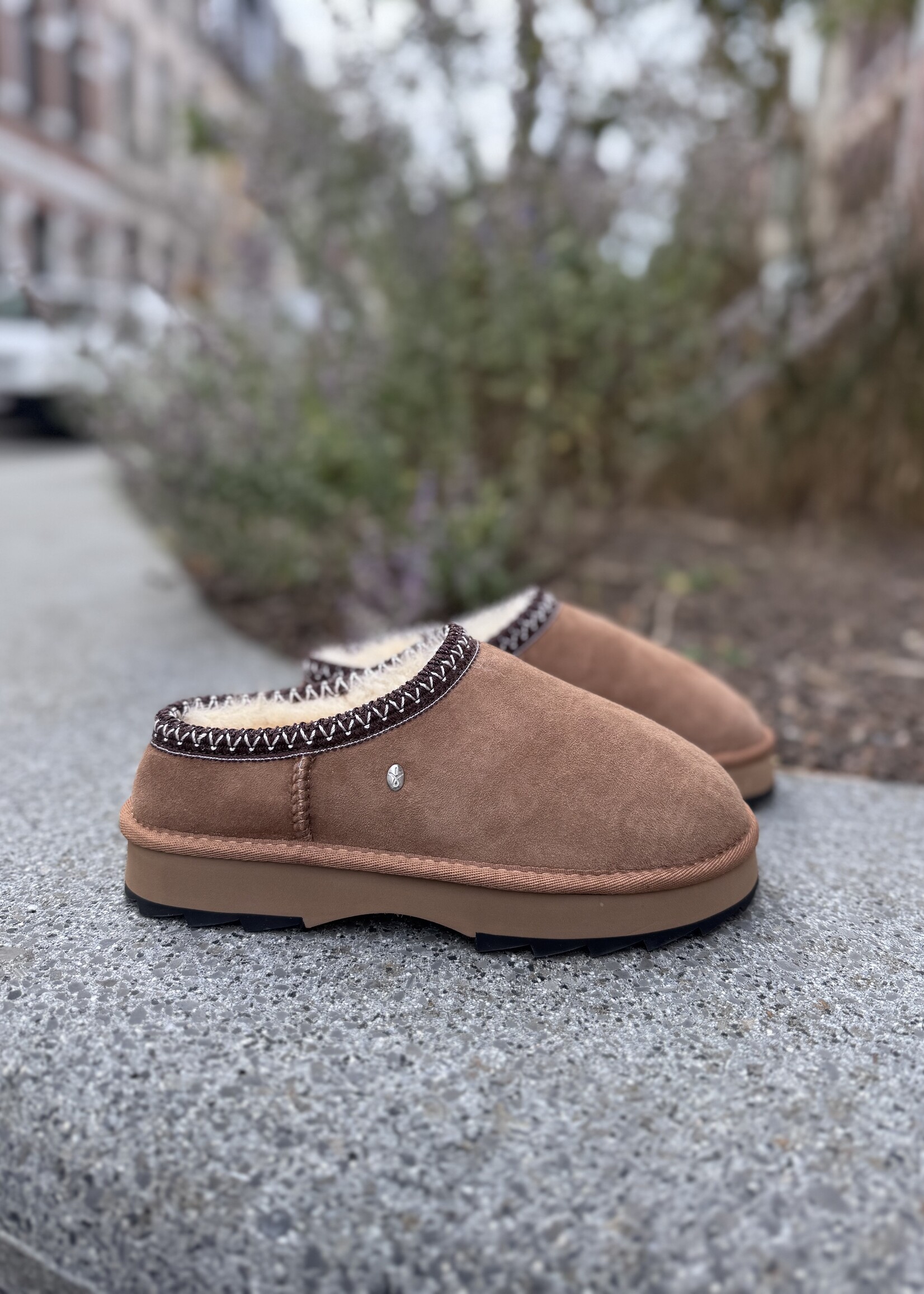 EMU Sharky scuff pantoffel chestnut
