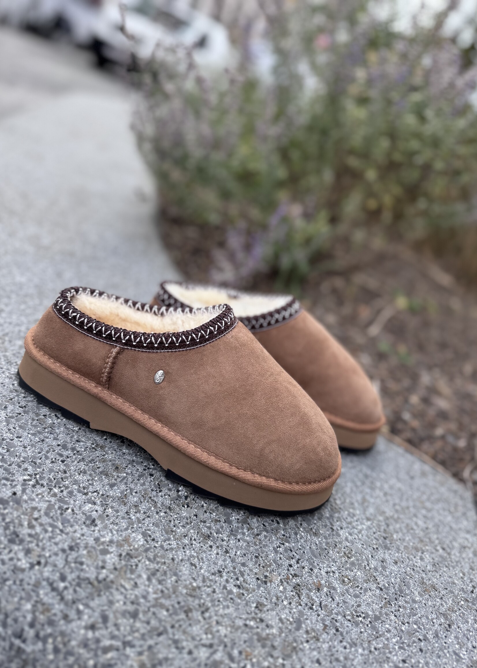 EMU Sharky scuff pantoffel chestnut