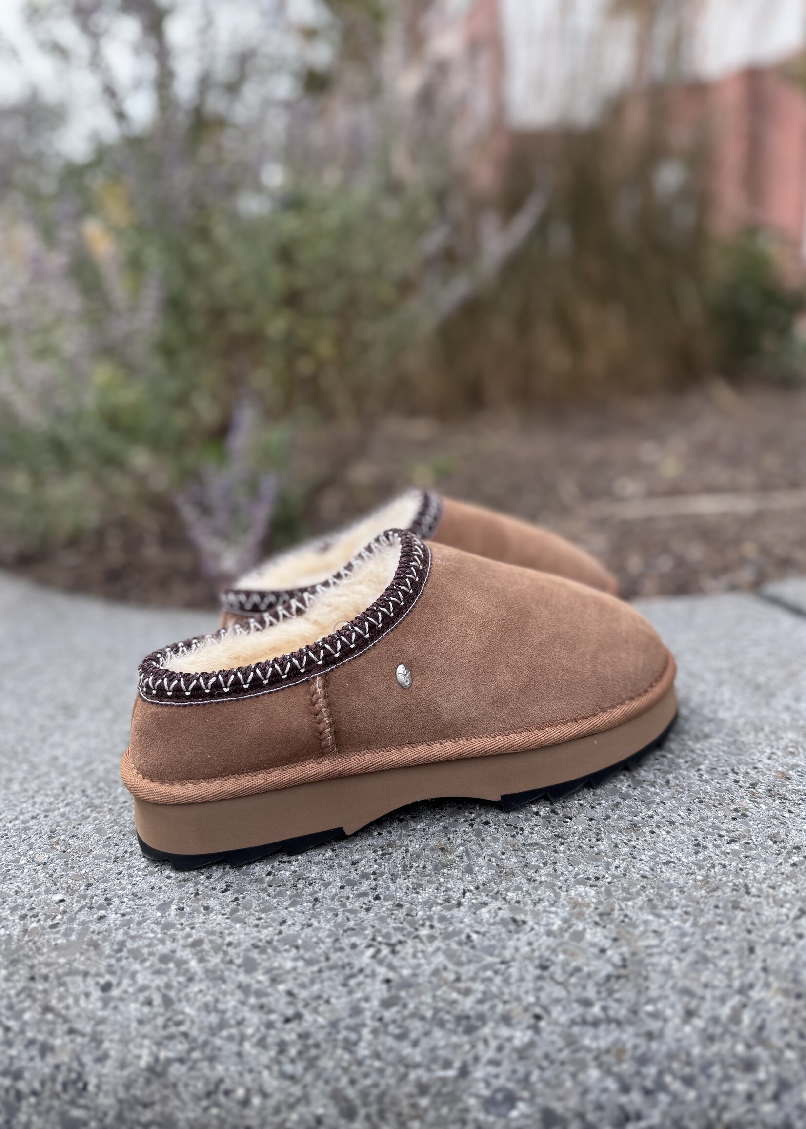 EMU Sharky scuff pantoffel chestnut