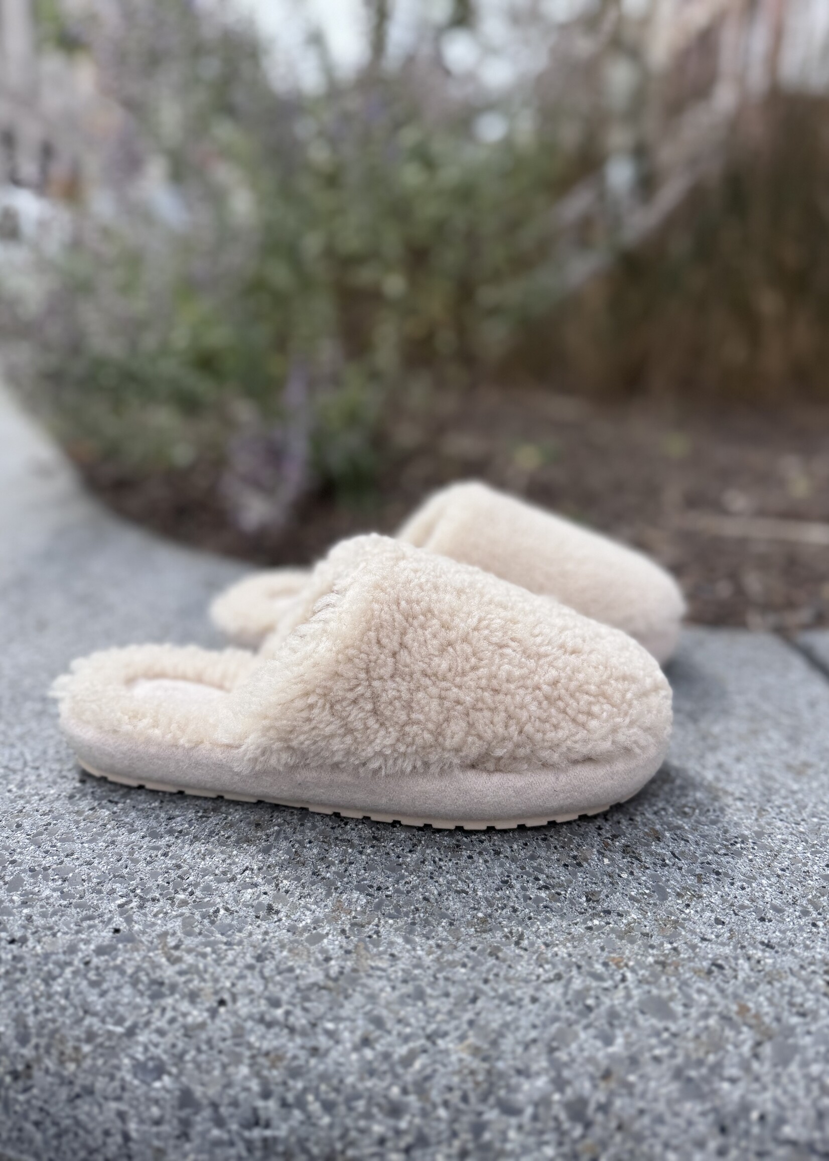 EMU Starley pantoffel macadamia