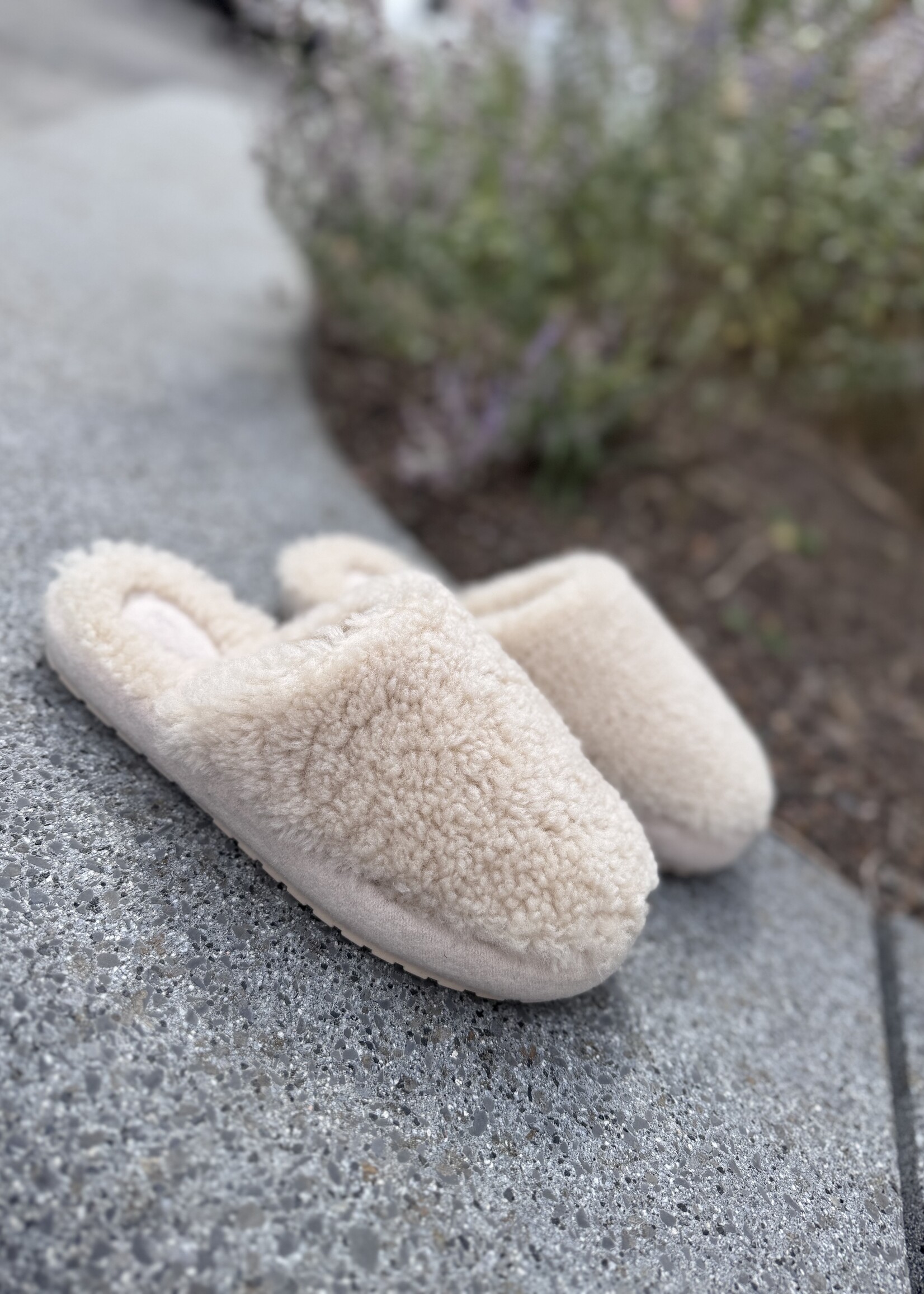 EMU Starley pantoffel macadamia