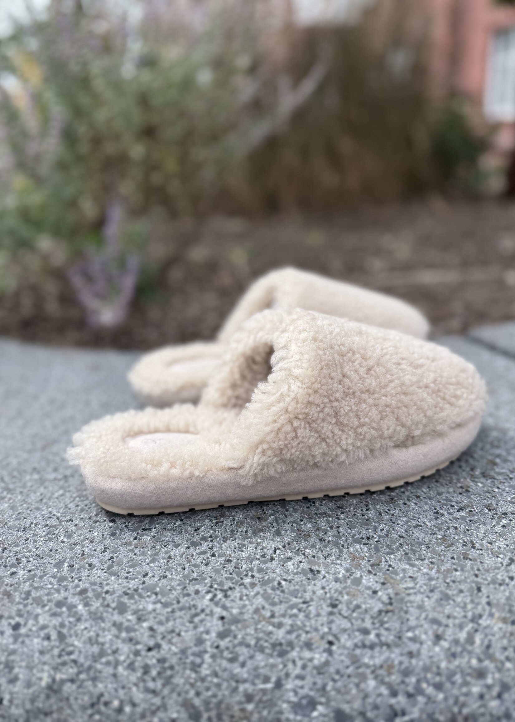 EMU Starley pantoffel macadamia