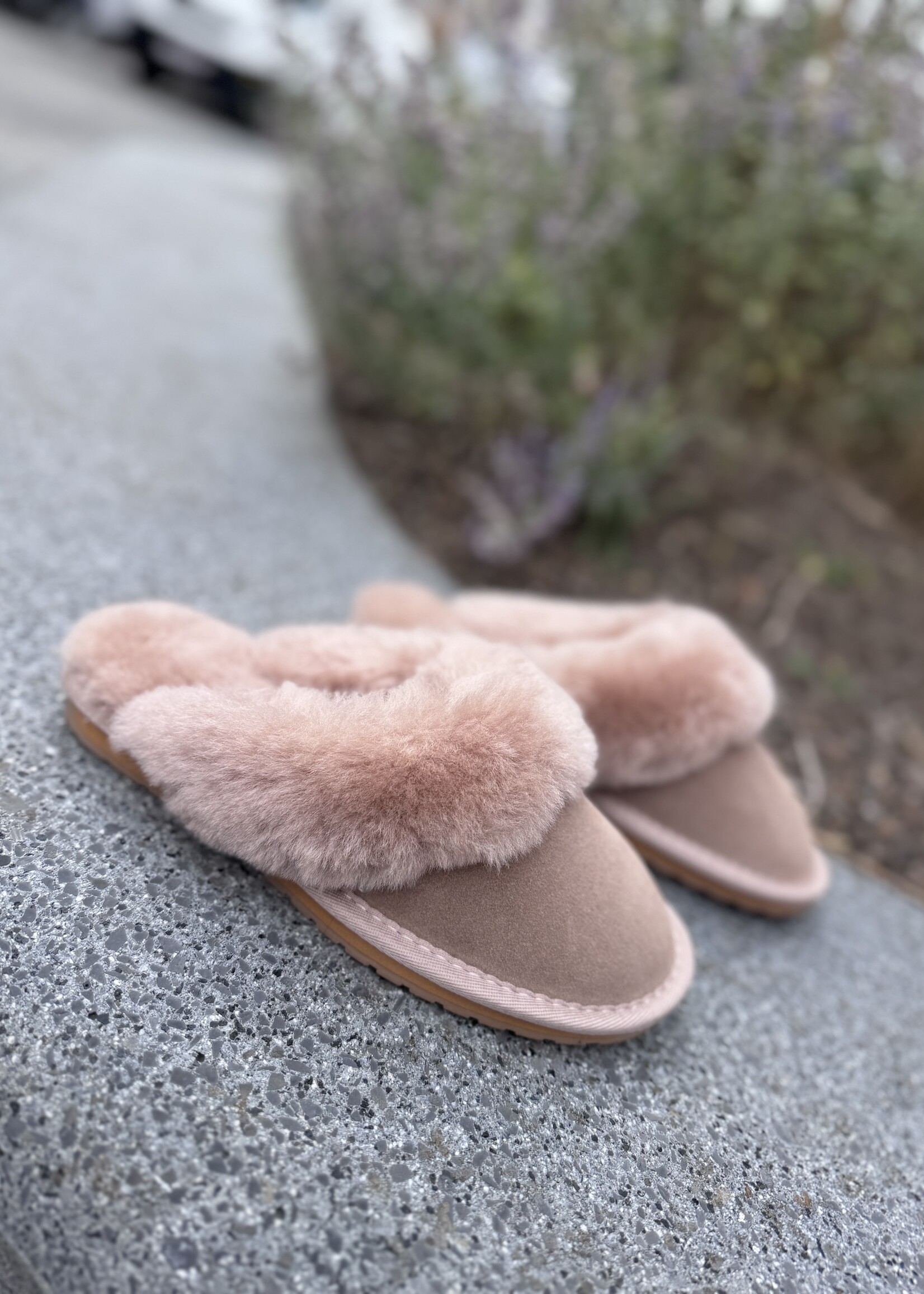 EMU Jolie pantoffel camel