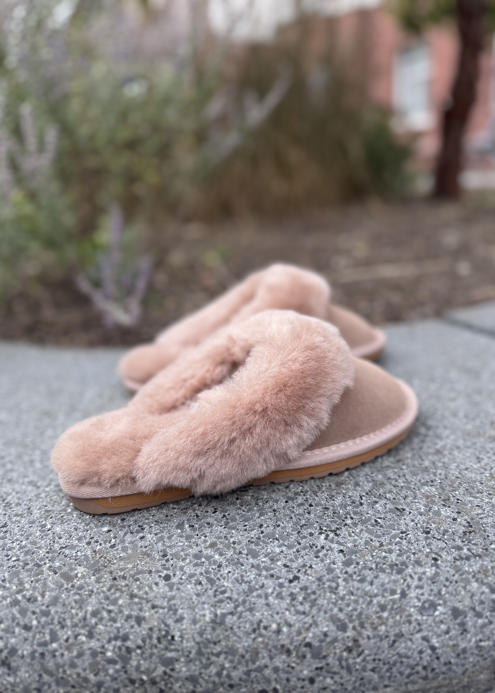 EMU Jolie pantoffel camel