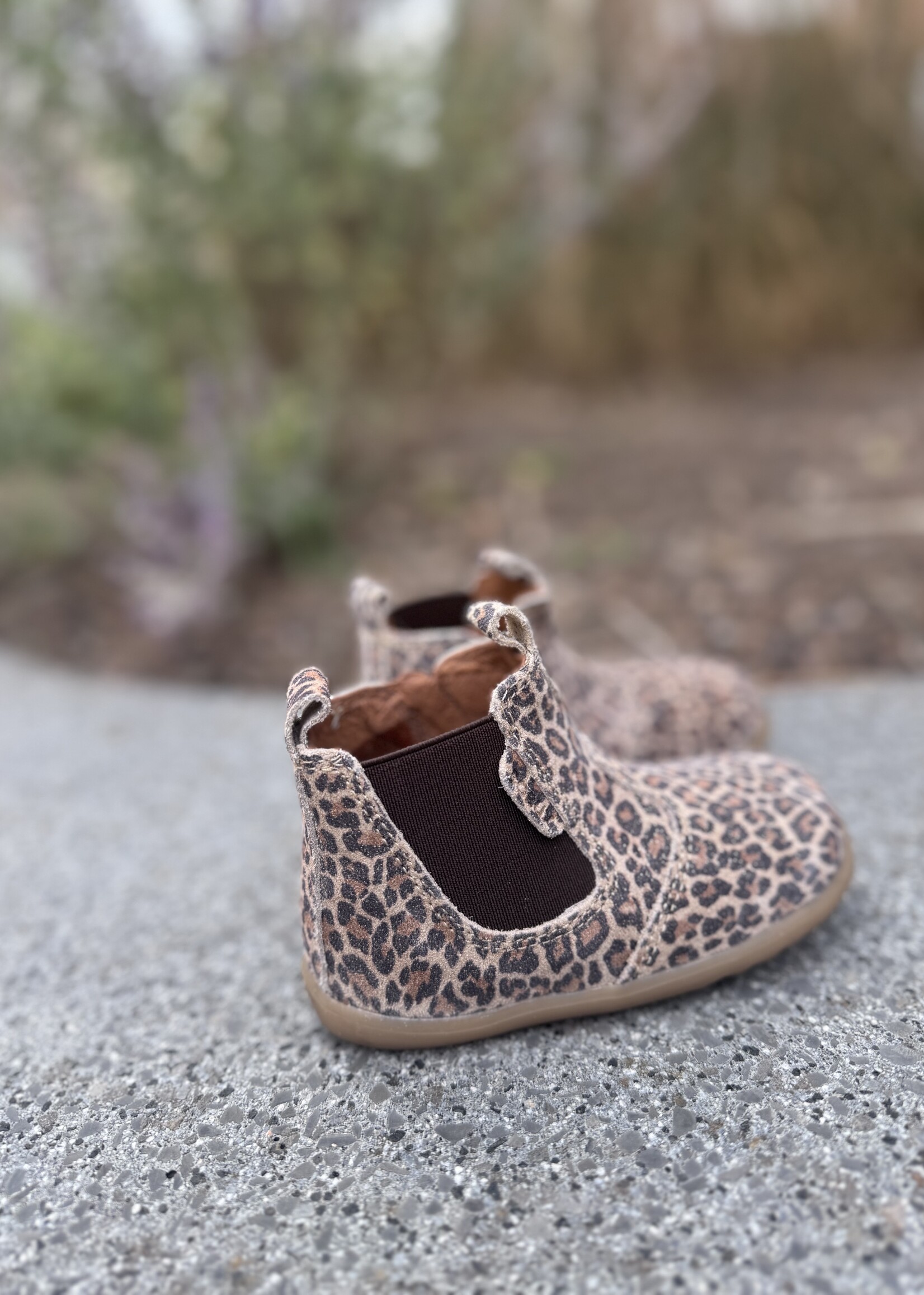 Bobux jodhpur leo enkellaarsje