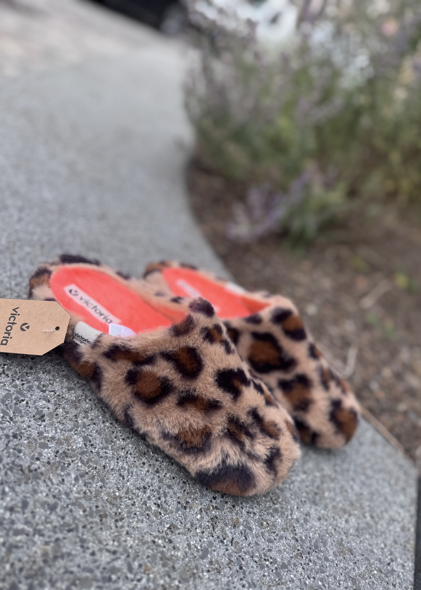 Victoria 1081124 pantoffel beige leo