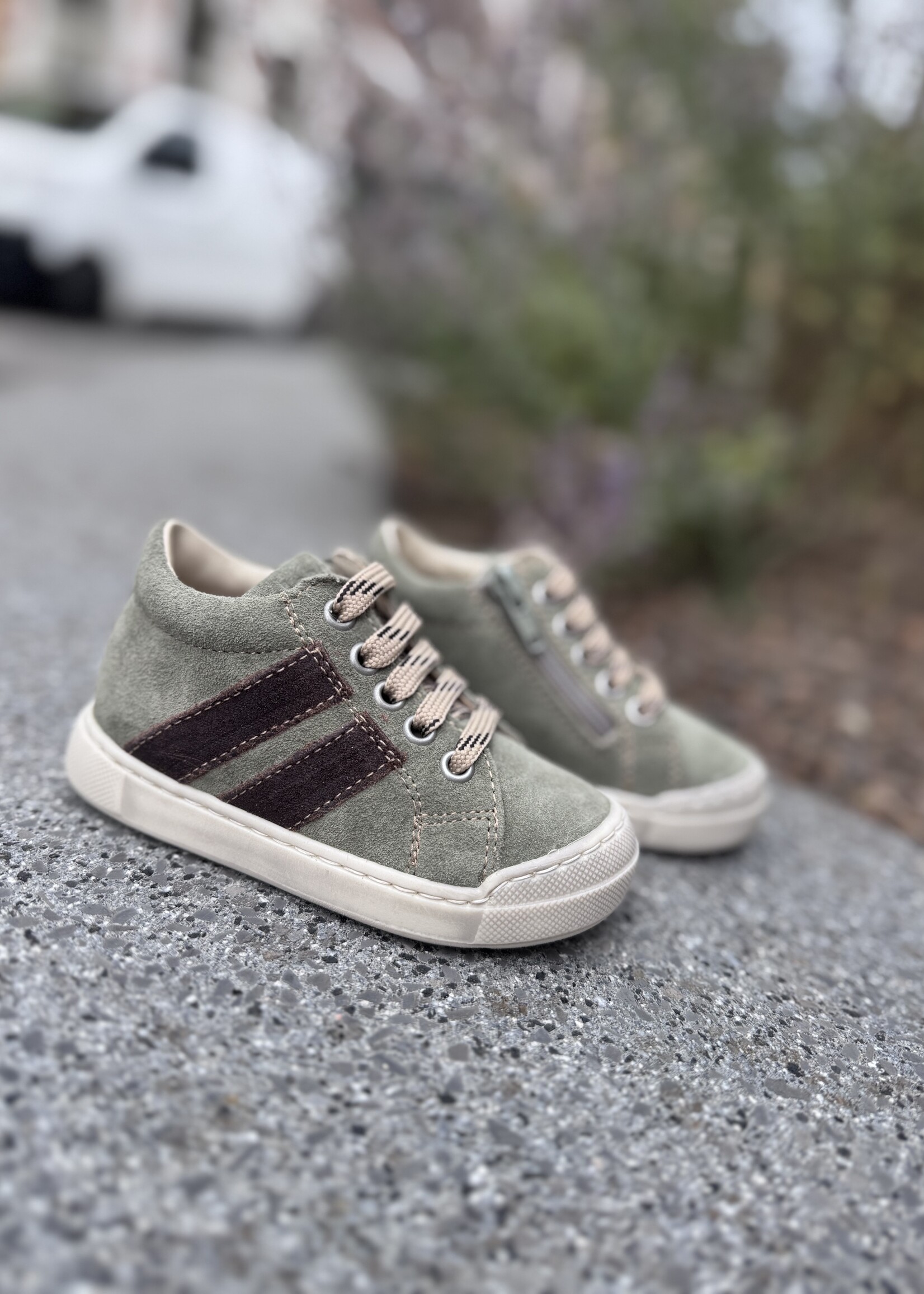 Falcotto gazer olive dark brown