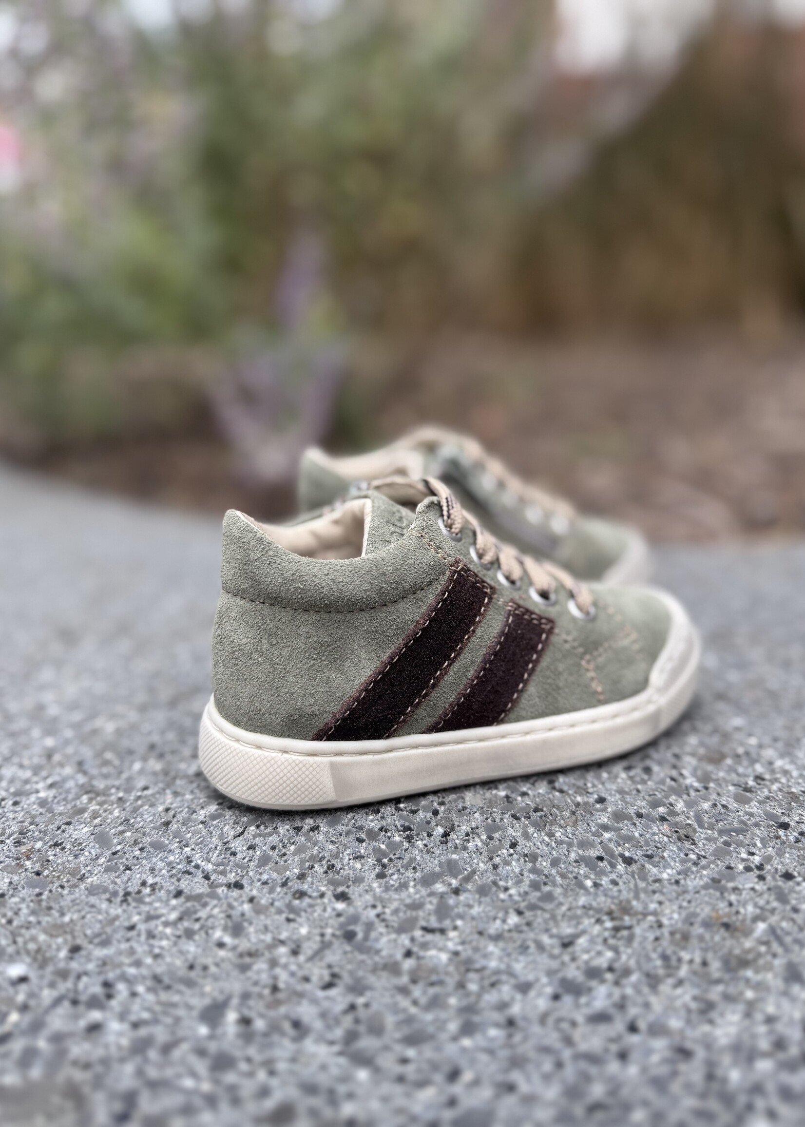 Falcotto gazer olive dark brown