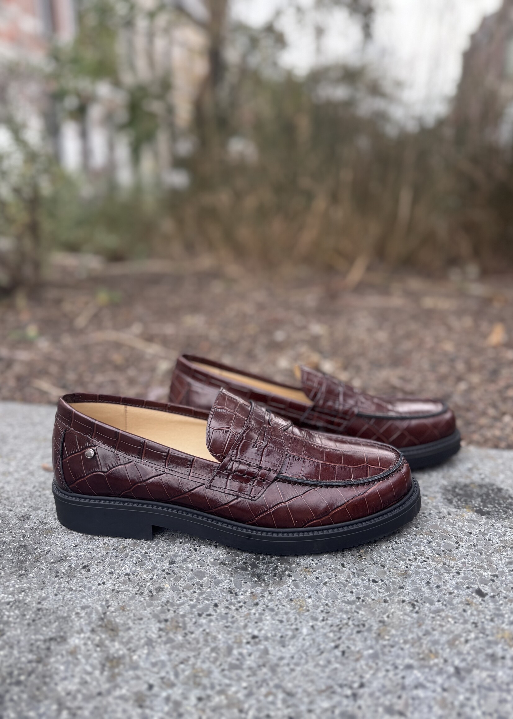 Confetti mocassin cedro