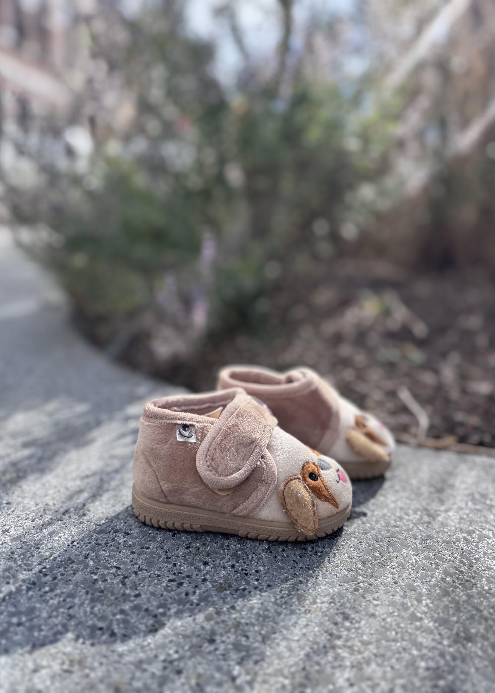 Victoria 105119 pantoffel avellana animales