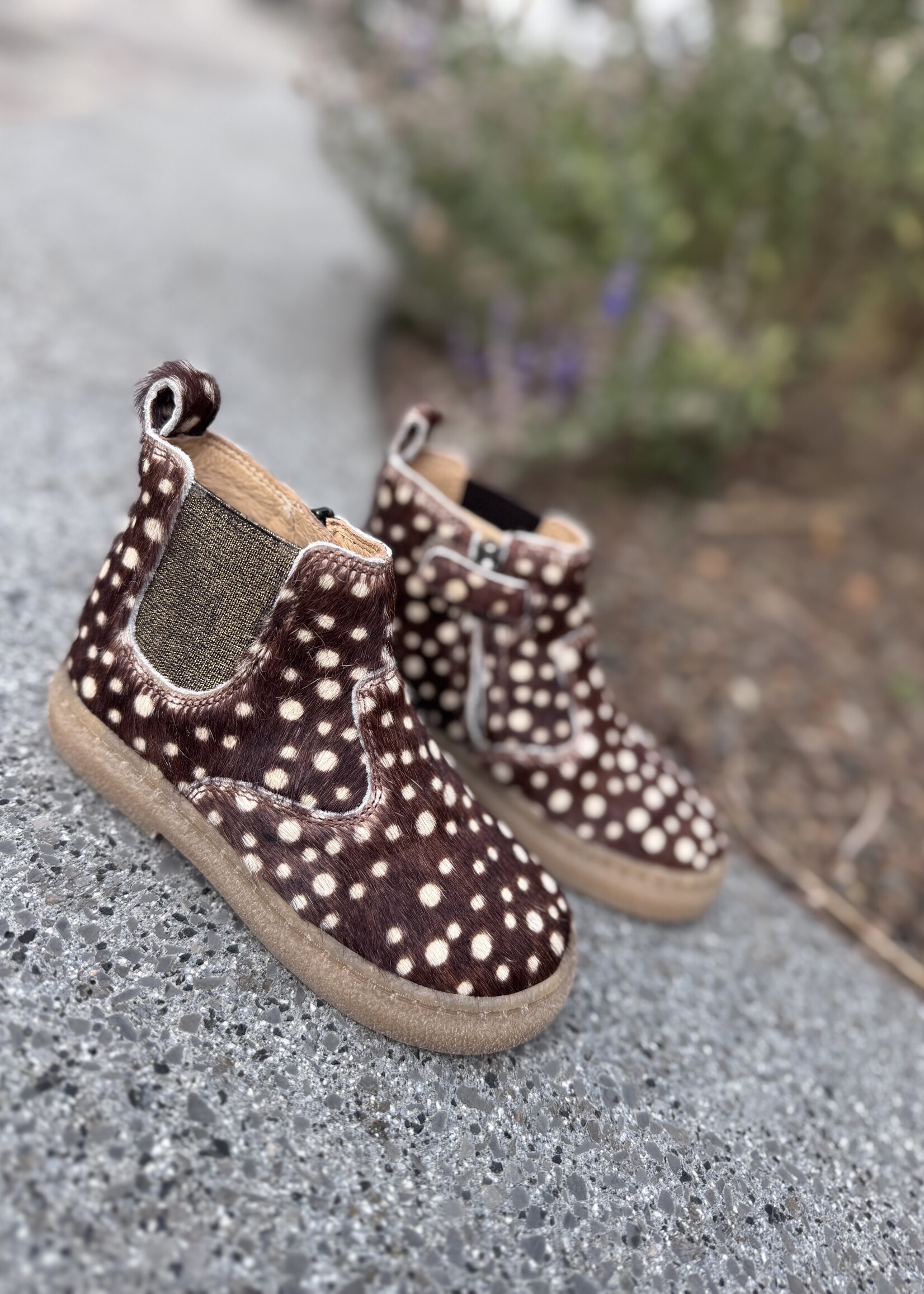 Pom d'api trix jod zip poa brown
