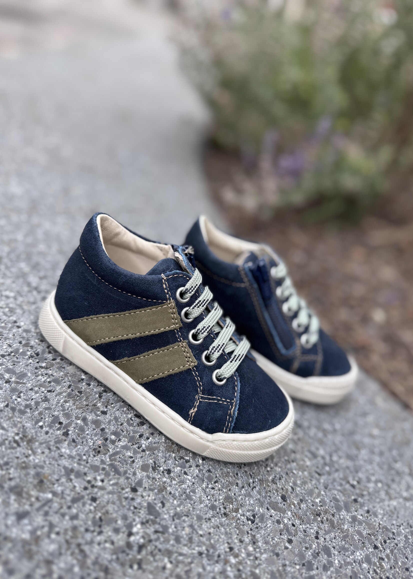 Falcotto gazer navy militare