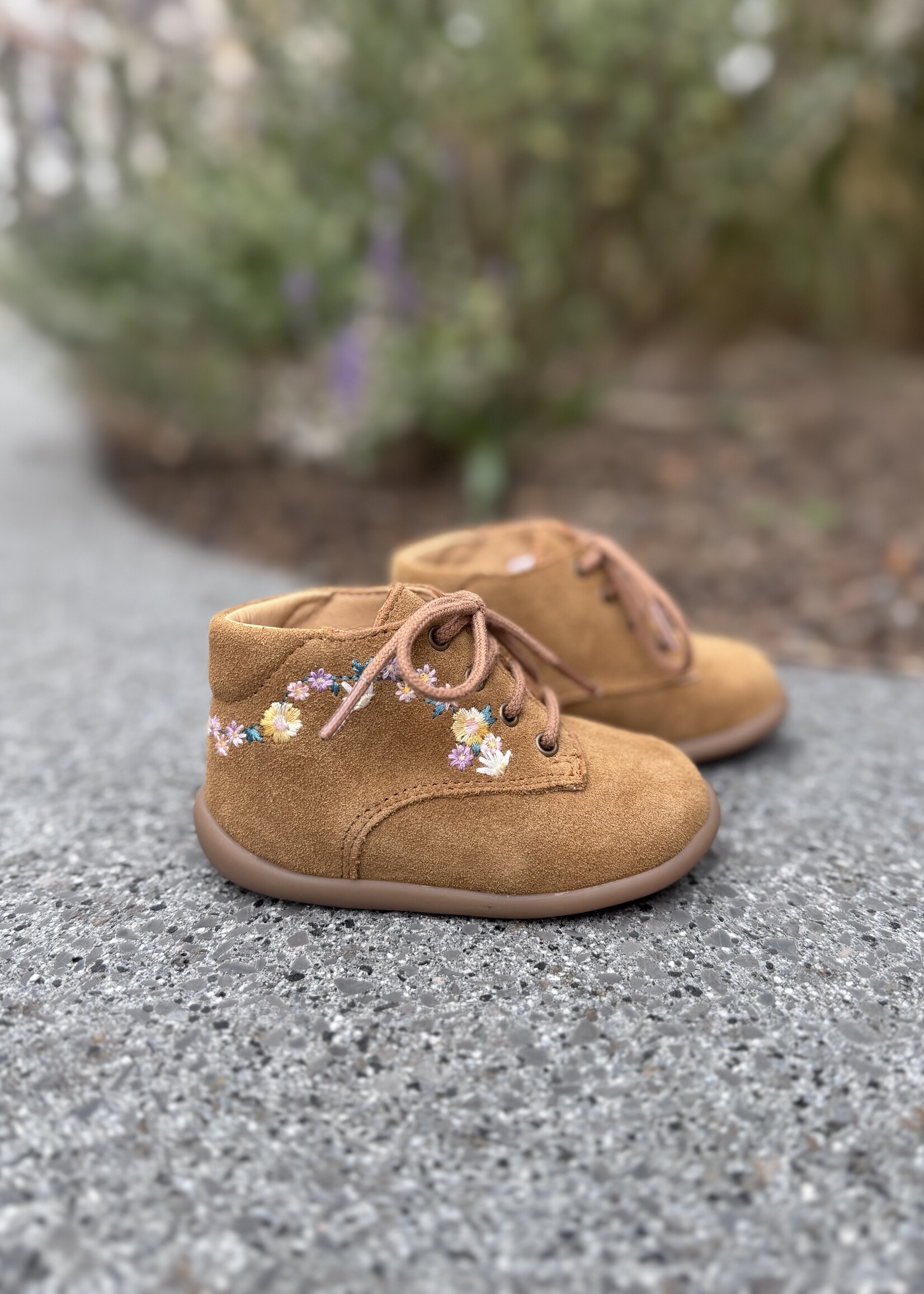 Pom d'api stand-up derby brod velours camel