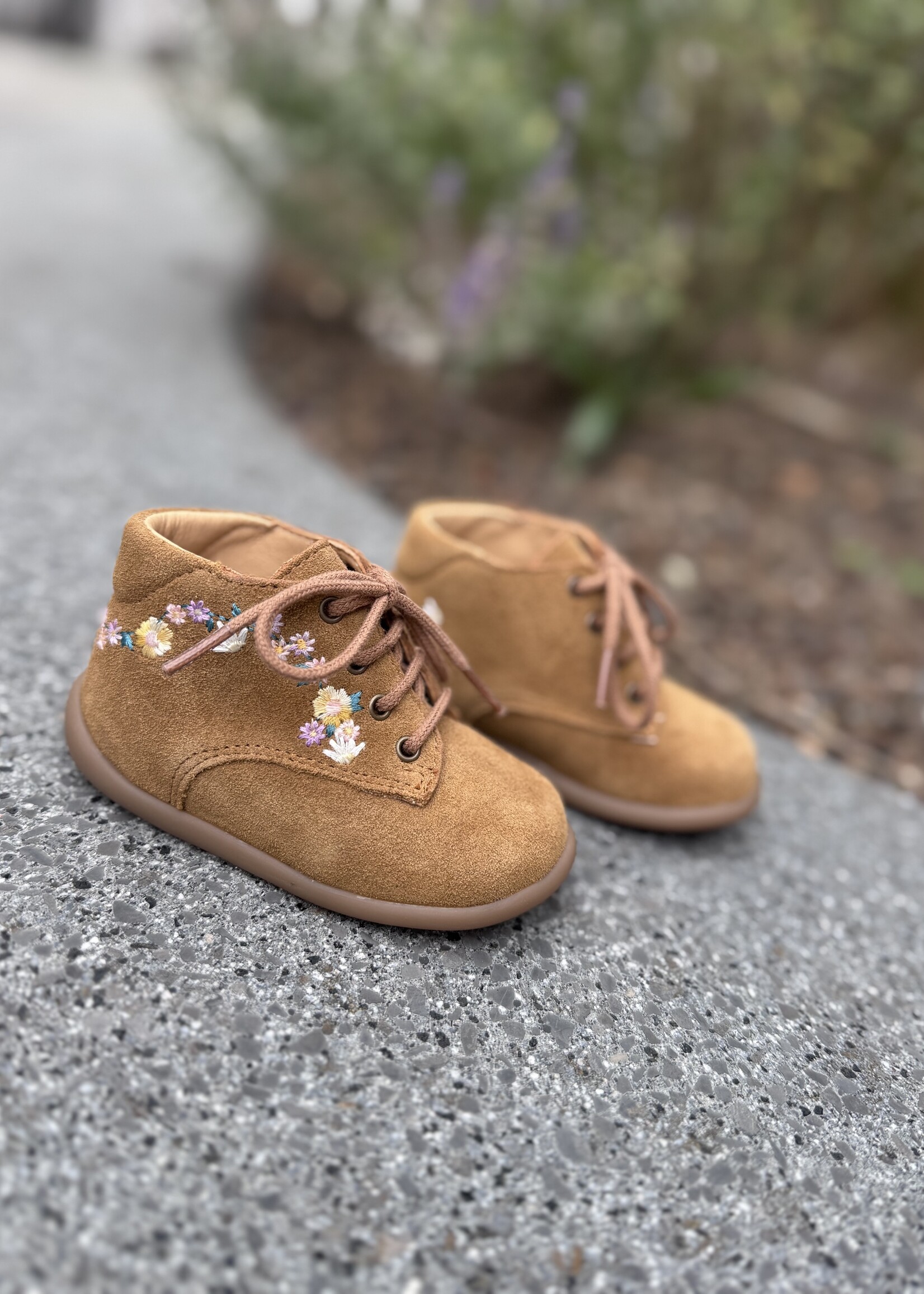 Pom d'api stand-up derby brod velours camel