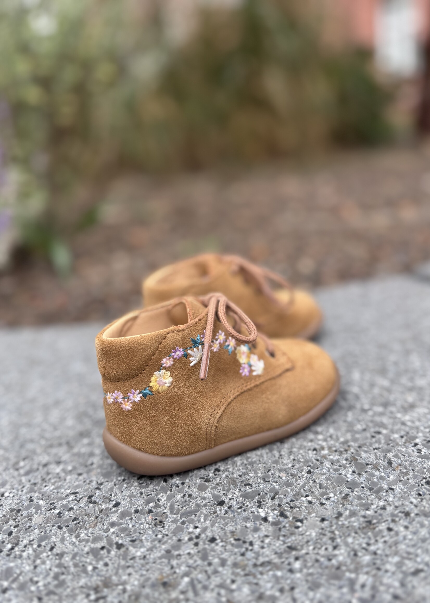 Pom d'api stand-up derby brod velours camel