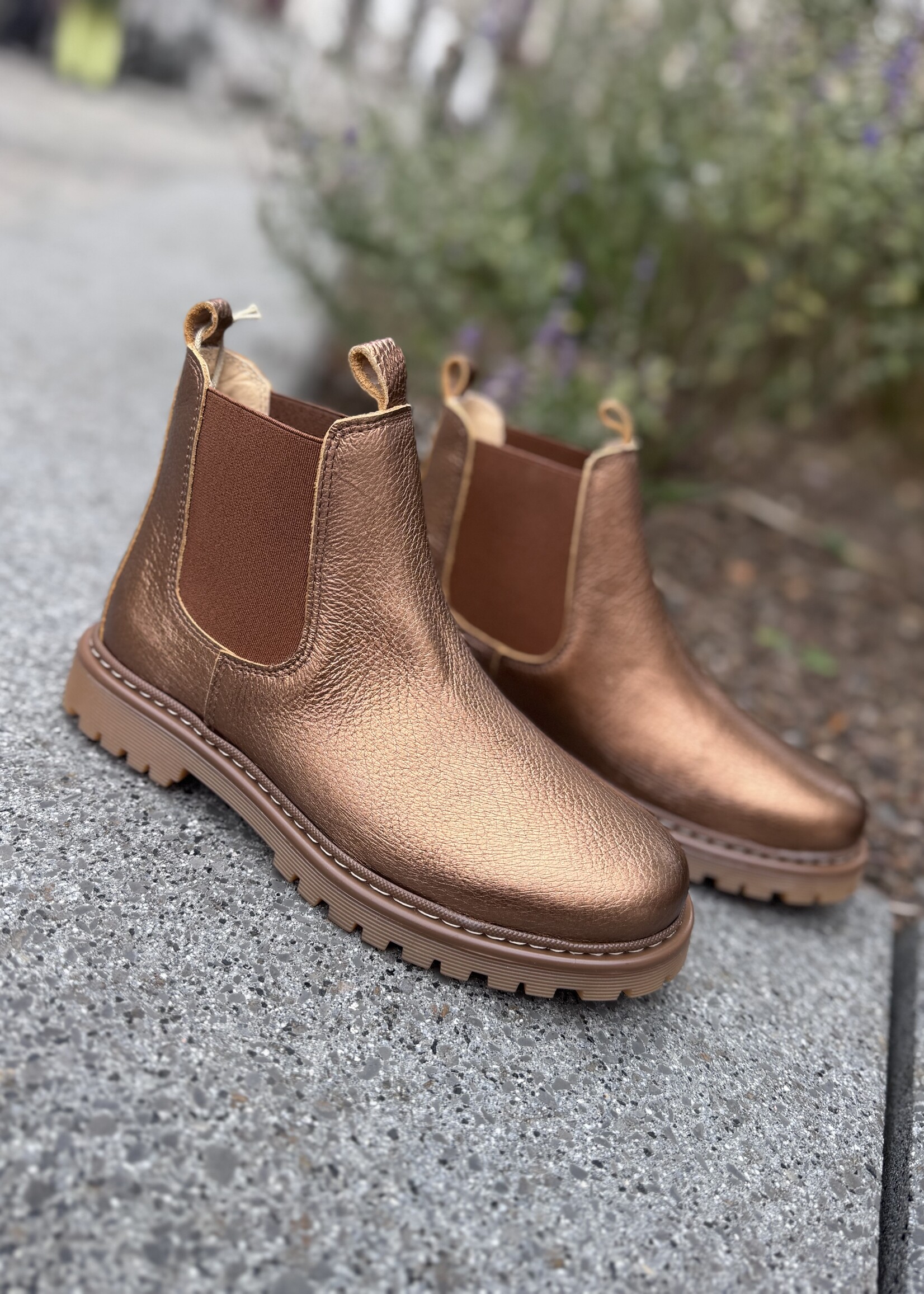 Angulus 2179-101 chelsea boot track sole bronze shine/cognac