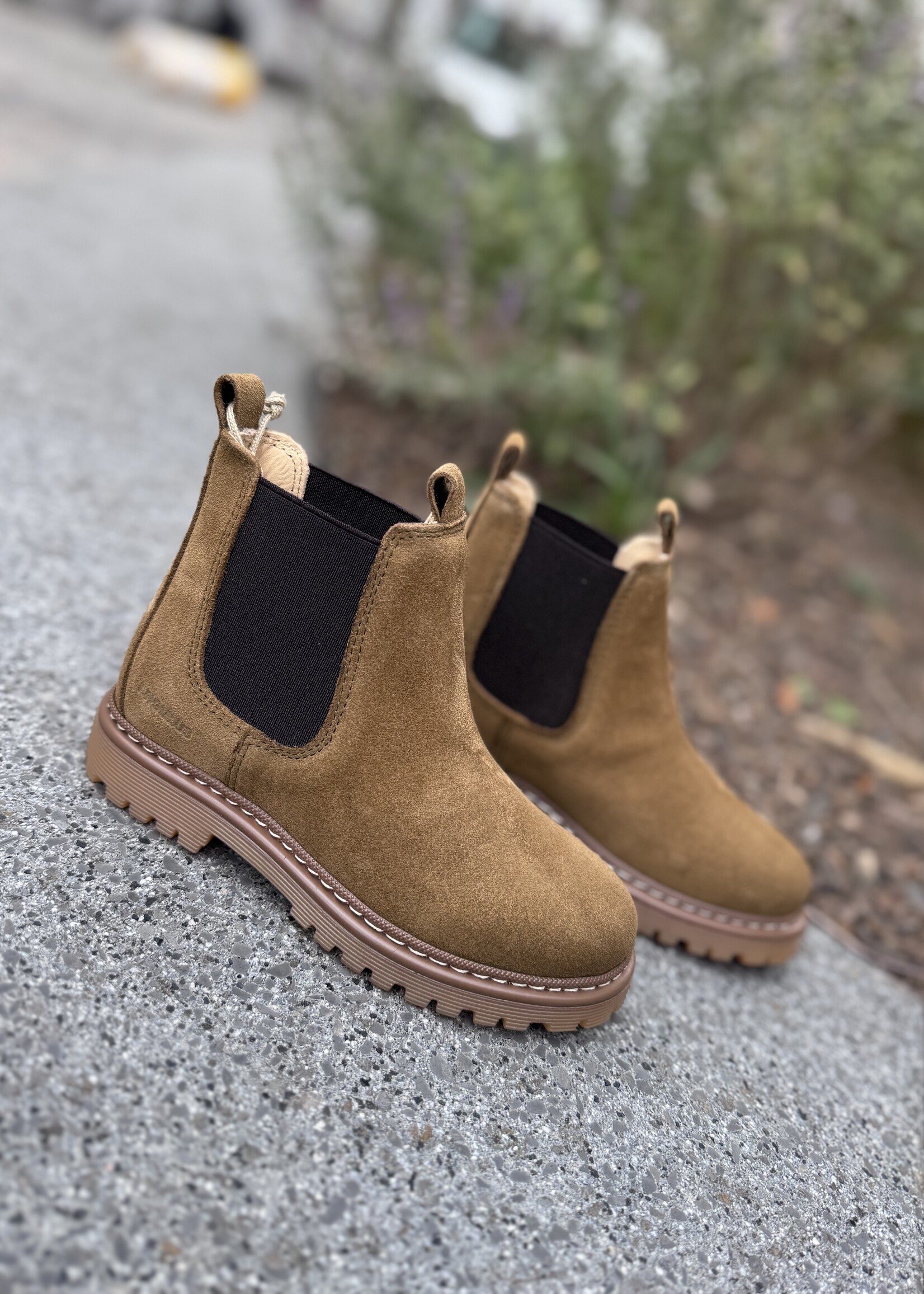 Angulus 2192-401 chunky chelsea boot mustard brown