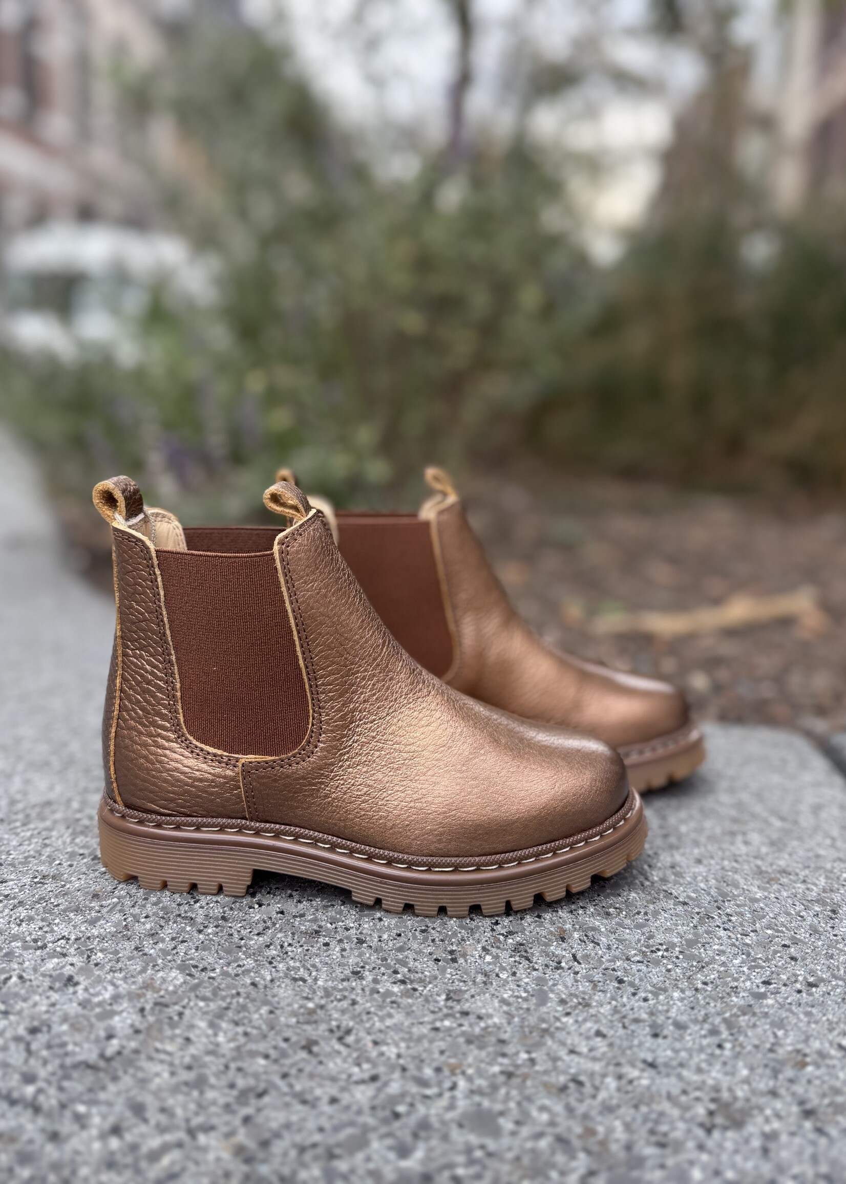 Angulus 2192-401 chunky chelsea boot bronze shine/cognac